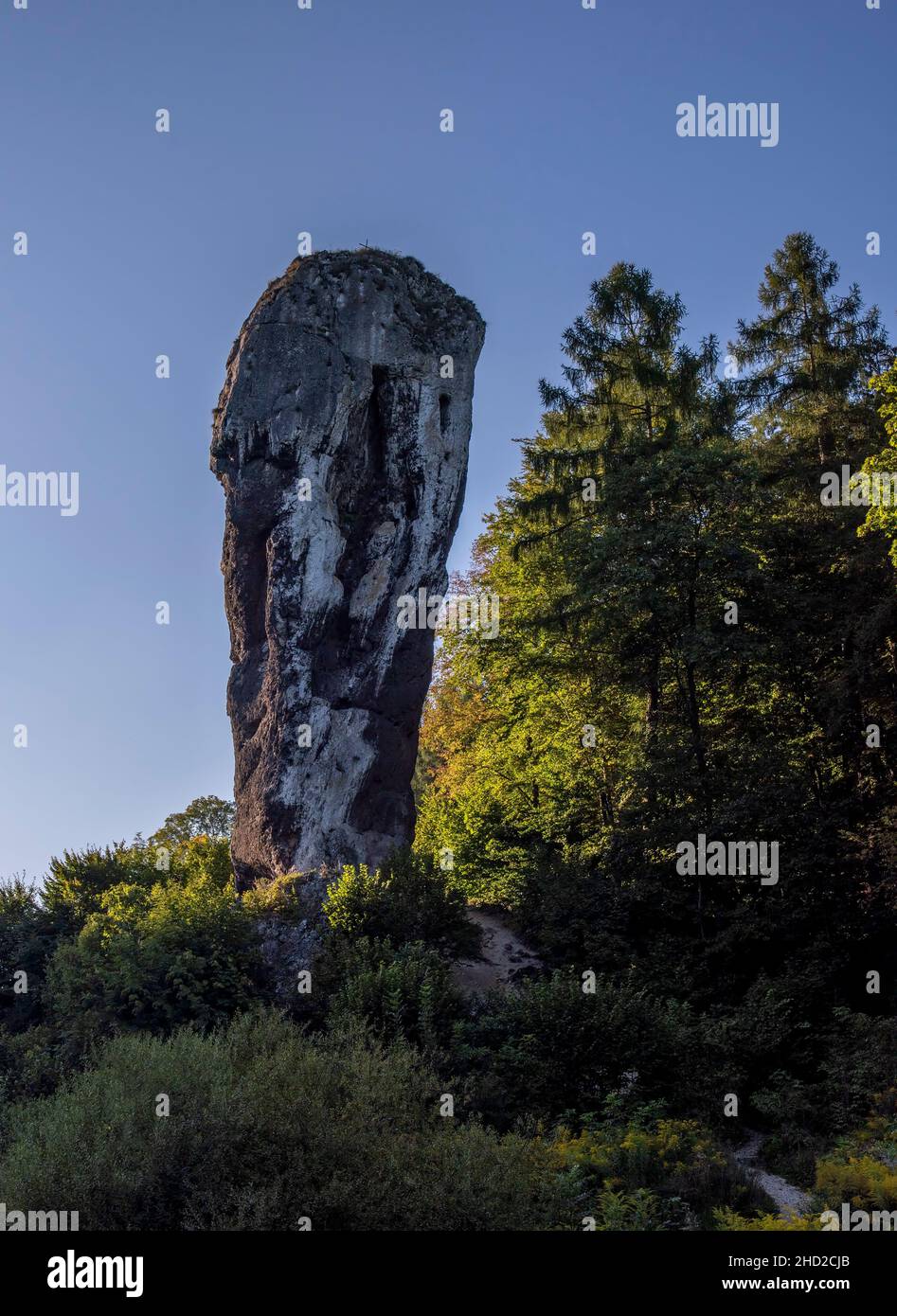 Maczuga Herkulesa - limestone stack situated near Pieskowa Skala in Poland Stock Photo