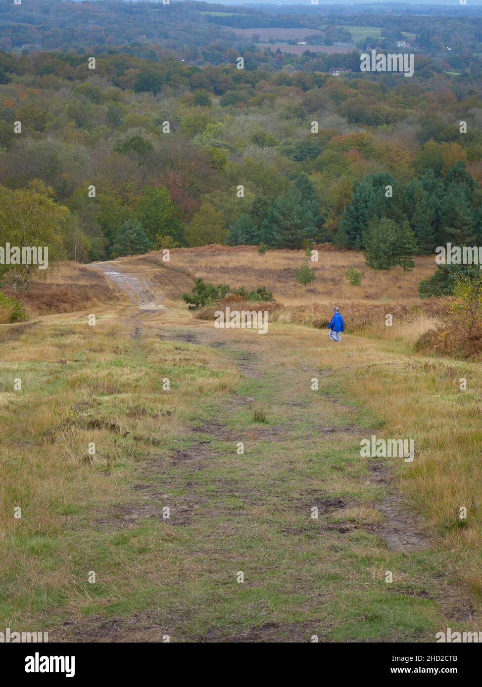 People walking up steep path hi-res stock photography and images - Alamy