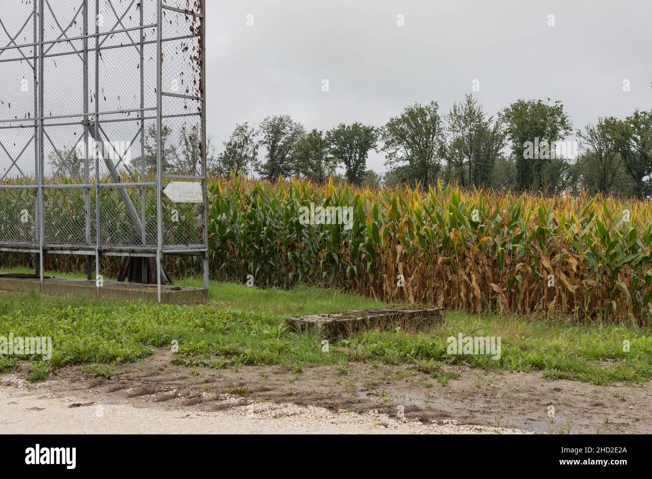 Tall mesh cages made of steel used for part of the agricultural processes when producing corn Stock Photo