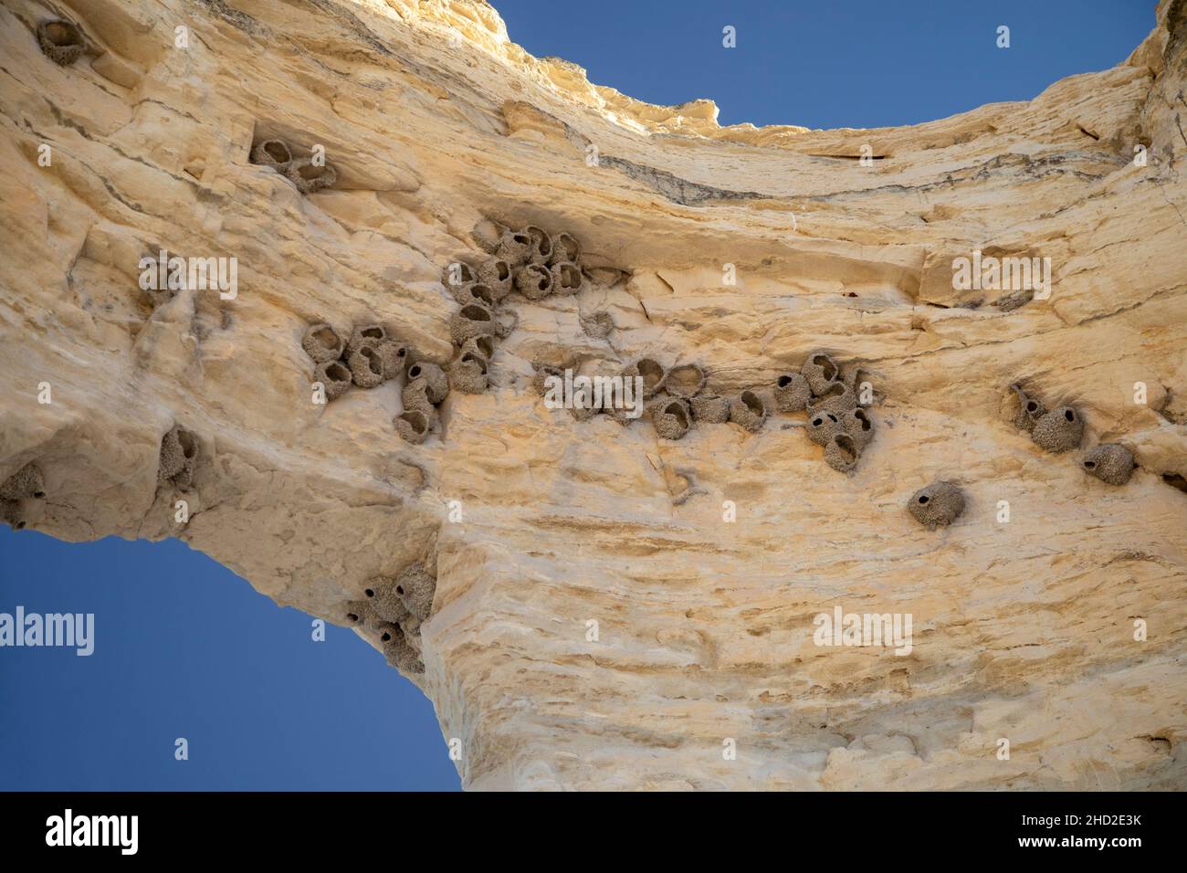 Oakley, Kansas - The nests of cliff swallows at the top of Monument Rocks, also known as Chalk Pyramids. Monument Rocks is a Niobrara chalk formation Stock Photo