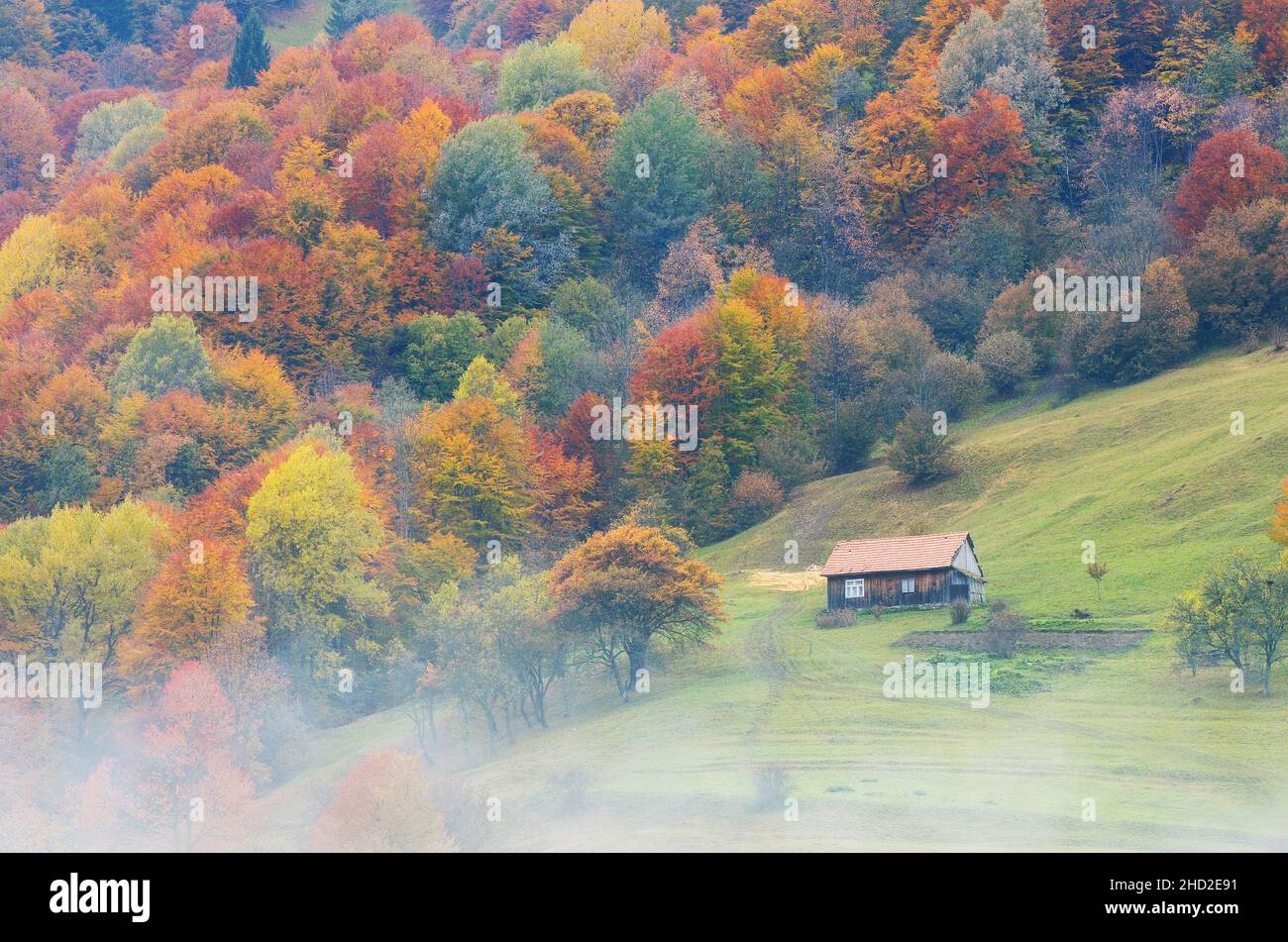 Autumn landscape with fog. Wooden house in the village. Carpathian mountains, Ukraine, Europe Stock Photo