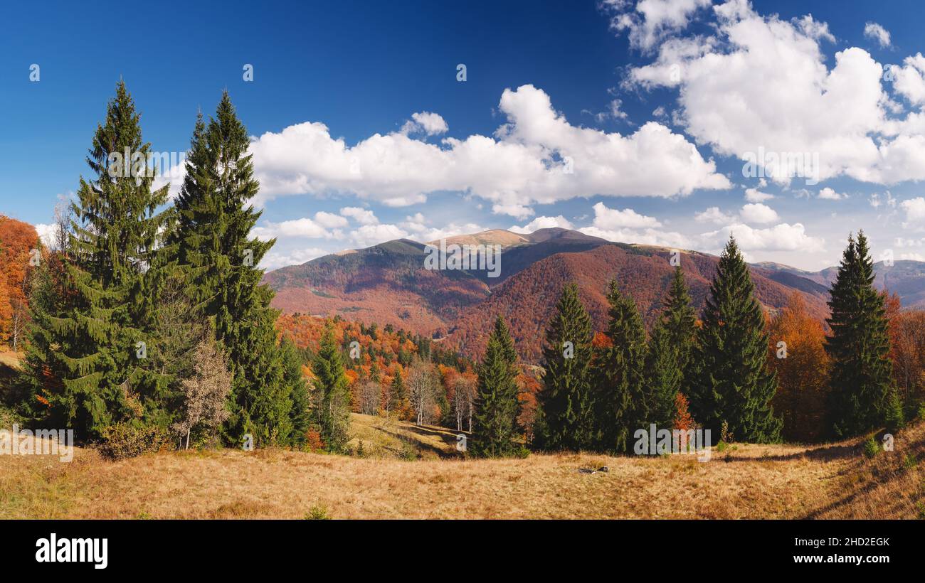 Sunny day in the mountains. Autumn landscape with a beautiful forest. Carpathians, Ukraine, Europe Stock Photo
