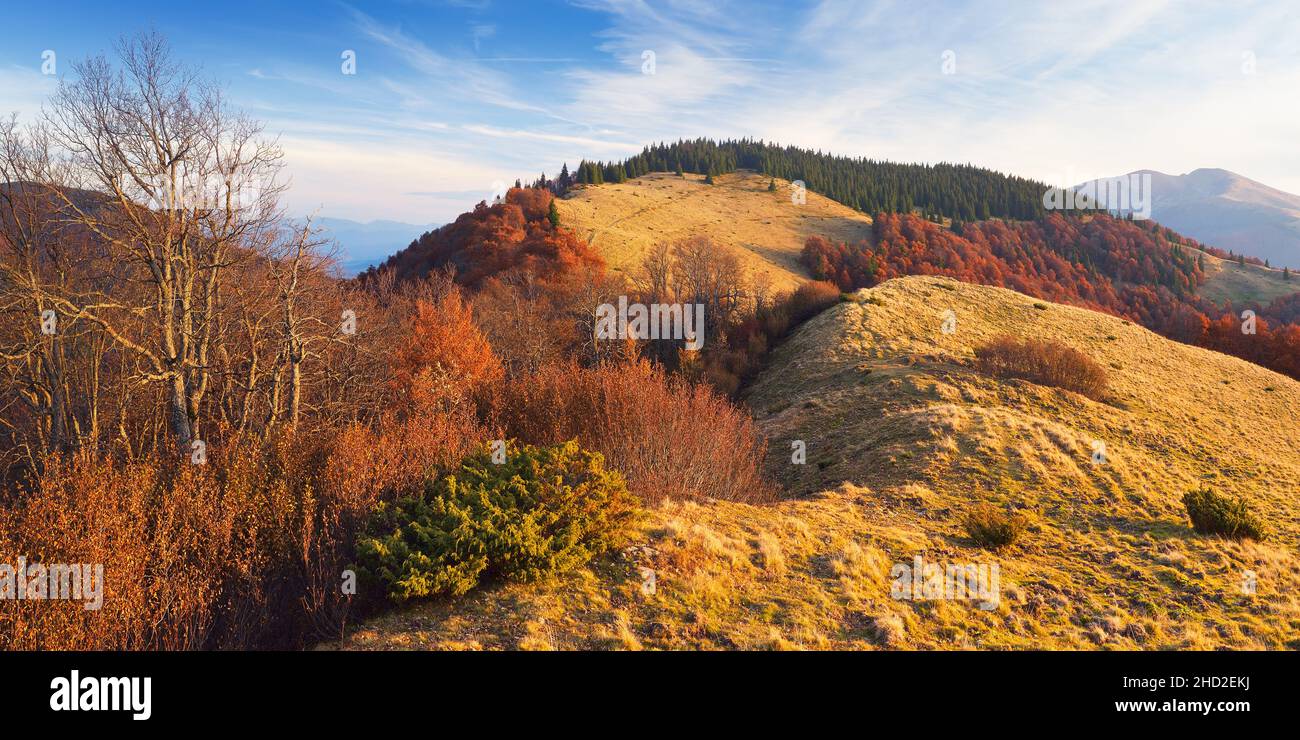 Sunny autumn landscape. Evening in the Mountains Stock Photo