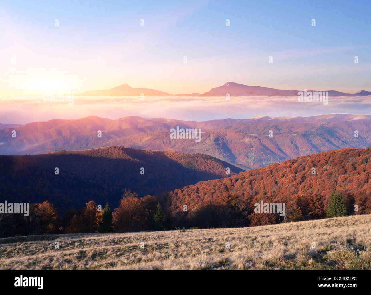 Autumn Landscape with beech forest in the mountains. Beautiful sunrise with sunbeams. Mountain peaks in the clouds. Collage of two frames Stock Photo