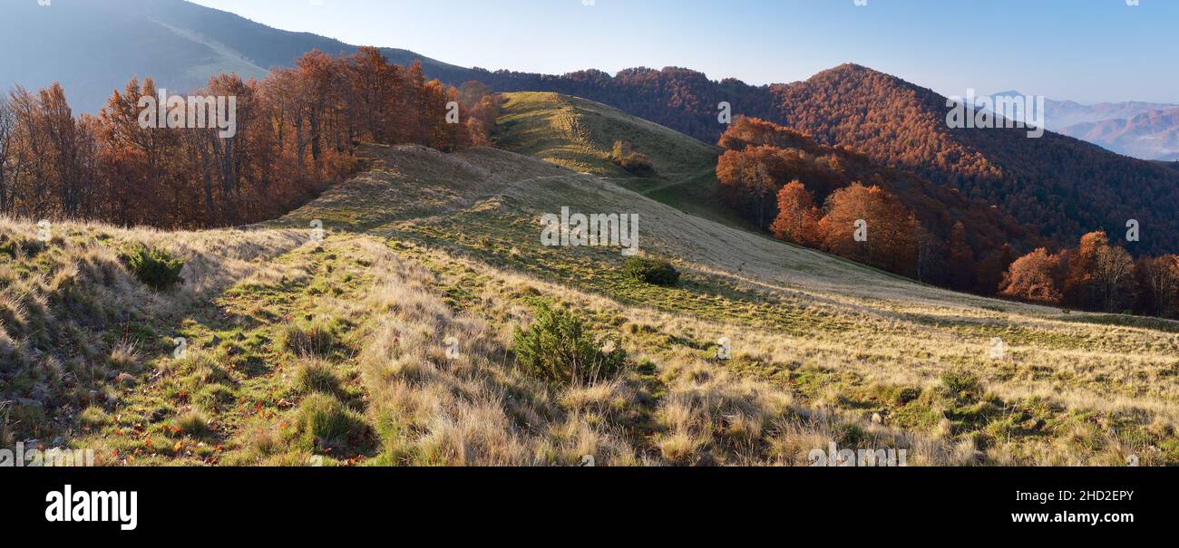 Morning landscape in the autumn. The mountain panorama with the road in the dry grass. Carpathians, Ukraine, Europe Stock Photo