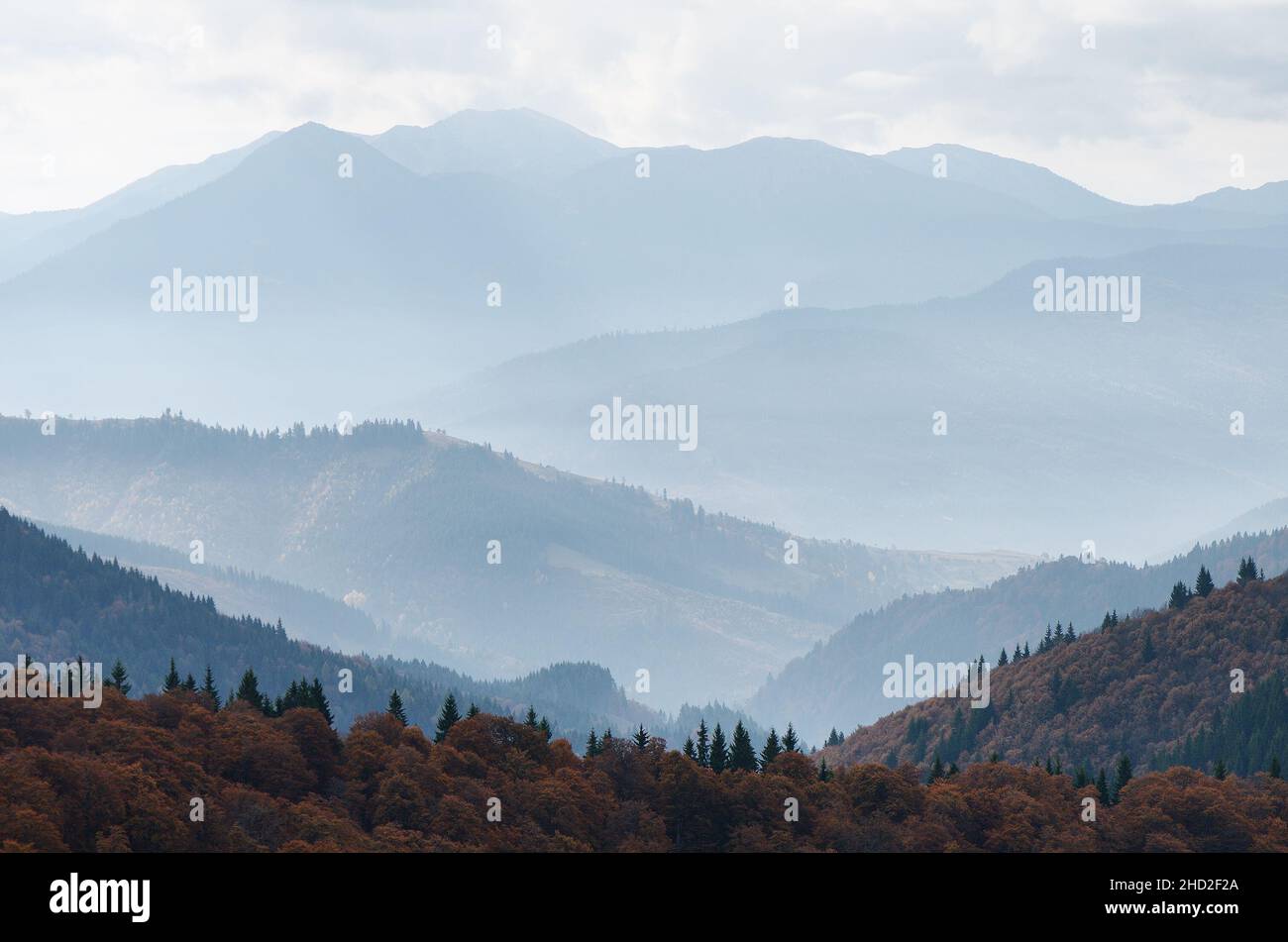 Autumn landscape with a view to the top of the mountain Stock Photo