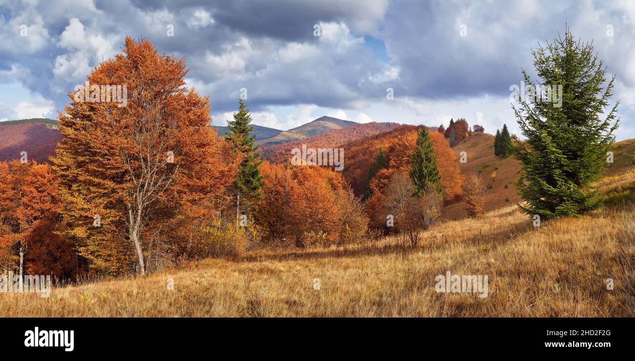 Beautiful autumn landscape in the mountains Stock Photo
