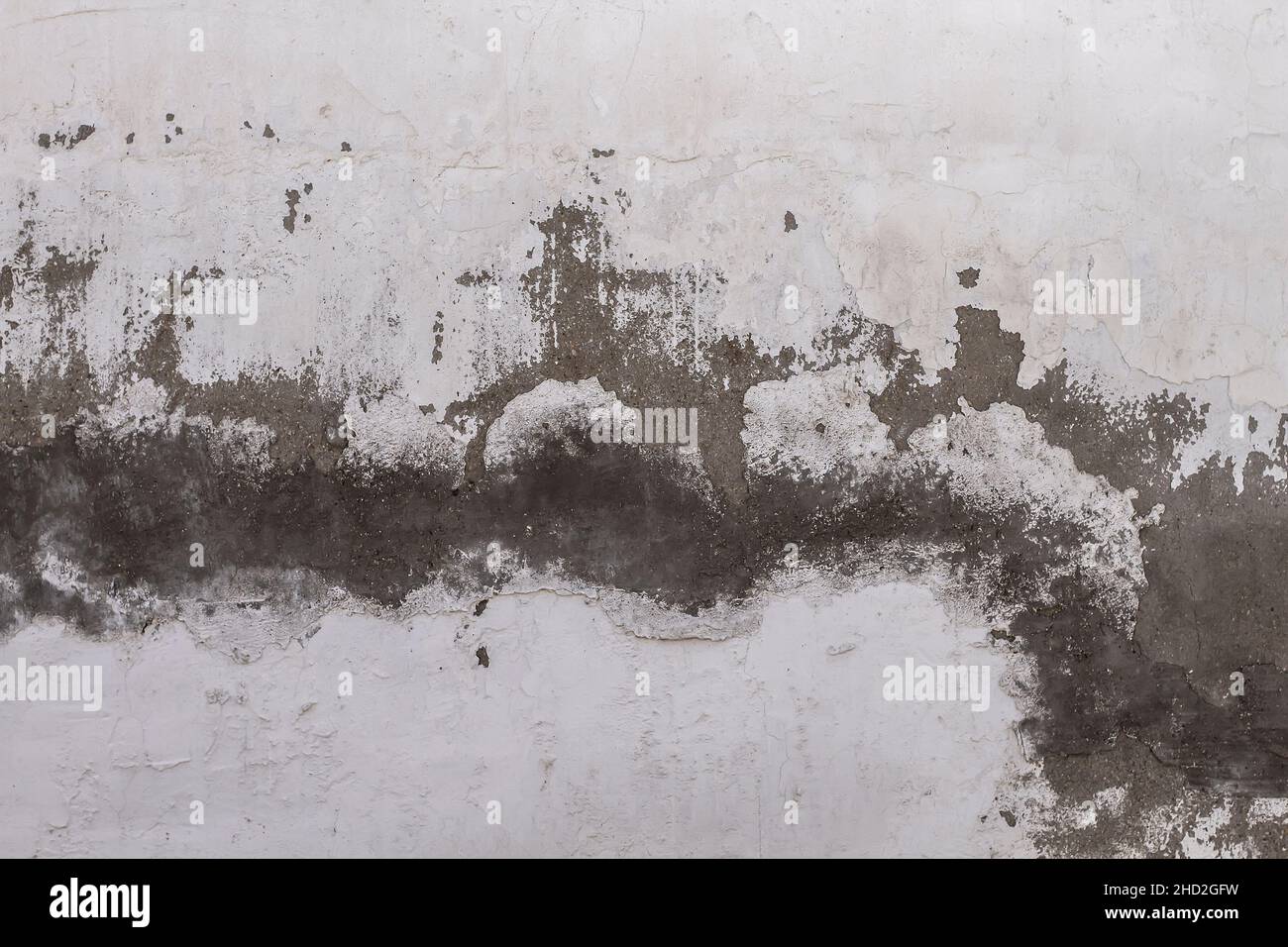 Old whitewashed lime wall with damp, white grunge background or texture Stock Photo