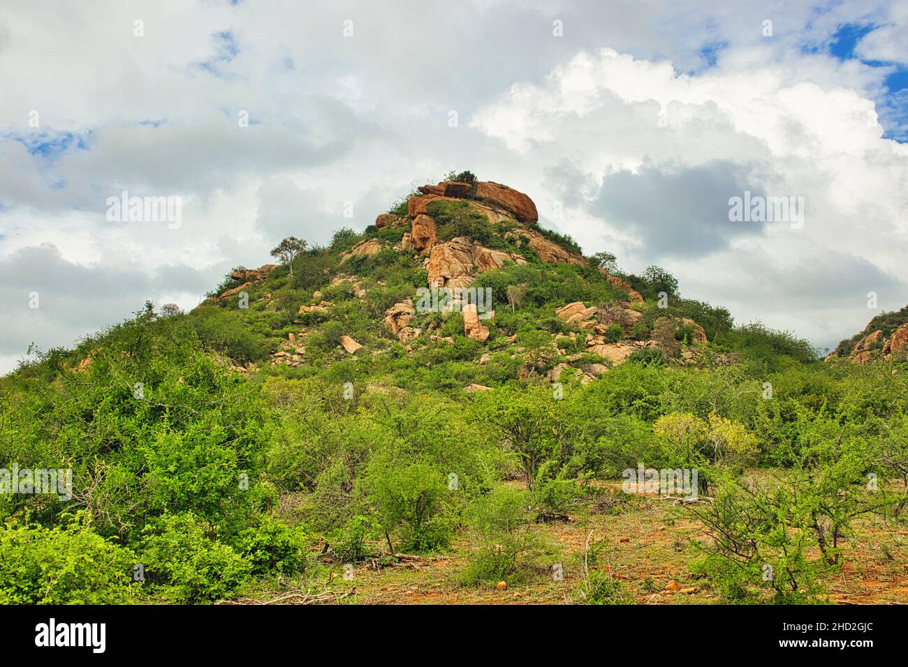 Landschaftsbilder aus dem Nationalpark Tsavo Ost Tsavo West und Amboseli  Stock Photo - Alamy