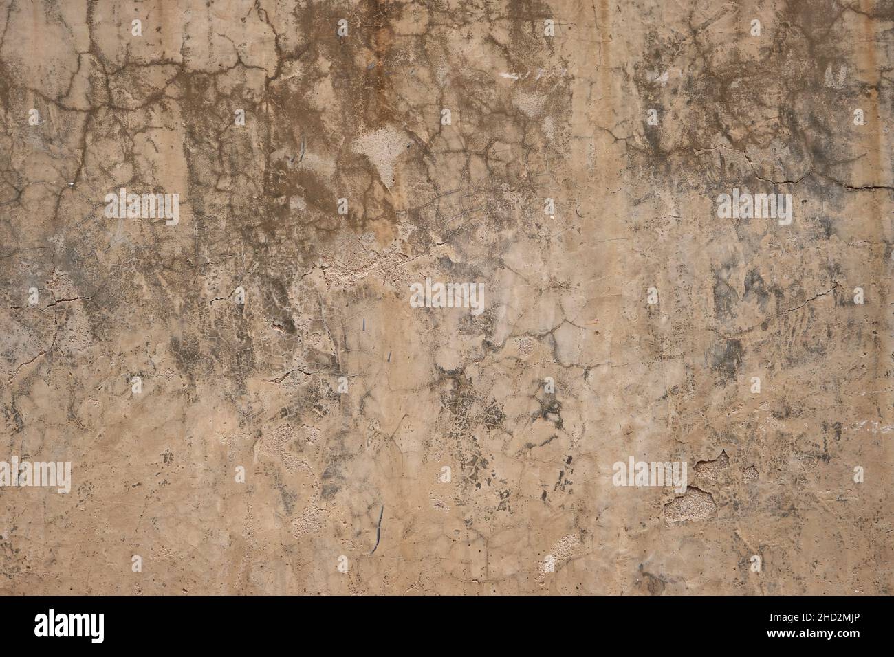 Old weathered limewash wall with damp Stock Photo