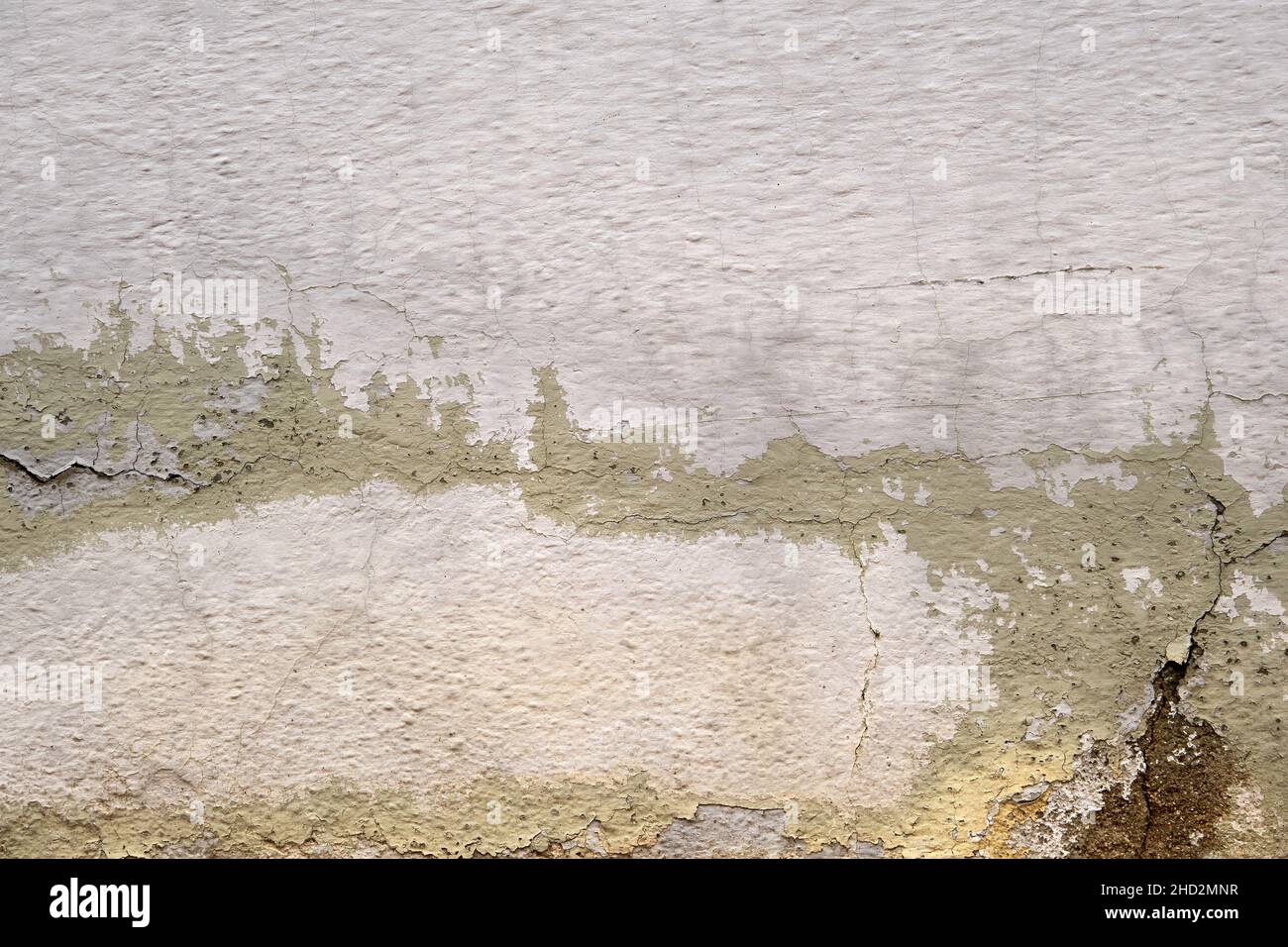 Old whitewashed wall with damp Stock Photo