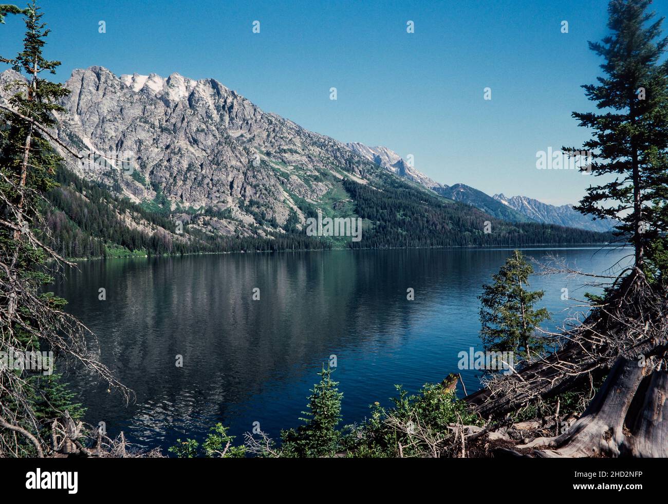 View of Jenny Lake from the Jenny Lake Trail at Grand Teton National Park. Stock Photo