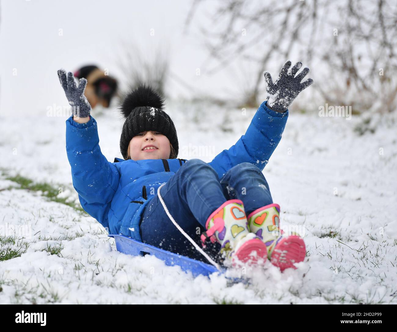 Pictured: Kerry Jessica McBeth (9) from Armadale has some fun in the snow.  The first falls of snow in central Scotland meant fun in the snow for kids in Armadale, West Lothian.  (c) Dave Johnston Stock Photo