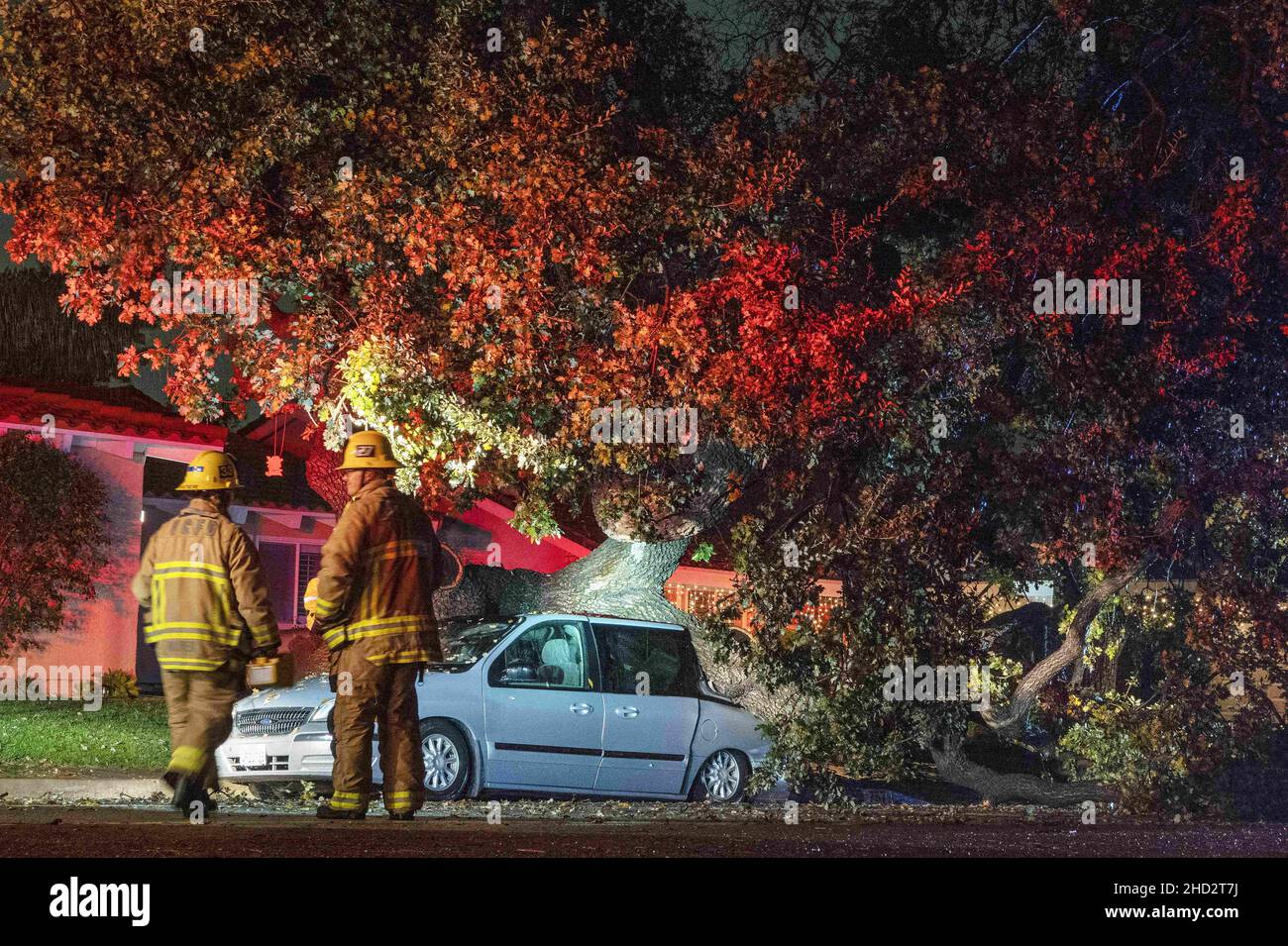 Thousand Oaks, California, USA. 30th Dec, 2021. Ventura County firefighters look over a scene where a minivan was crushed by an oak tree that fell on it during a slow-moving winter storm that soaked Southern California. No one was injured in the incident. Credit: K.C. Alfred/ZUMA Wire/ZUMAPRESS.com/Alamy Live News Stock Photo