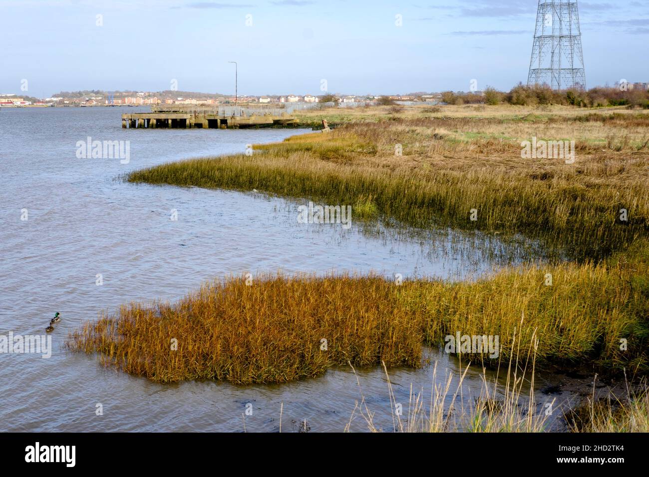 Peninsula on the Thames estuary in Kent, designated a Site