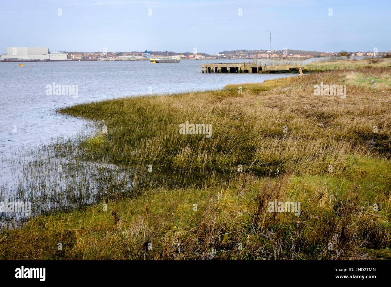 Swanscombe Peninsula on the Thames estuary in Kent, designated a Site of Special Scientific Interest in November 2021. Stock Photo
