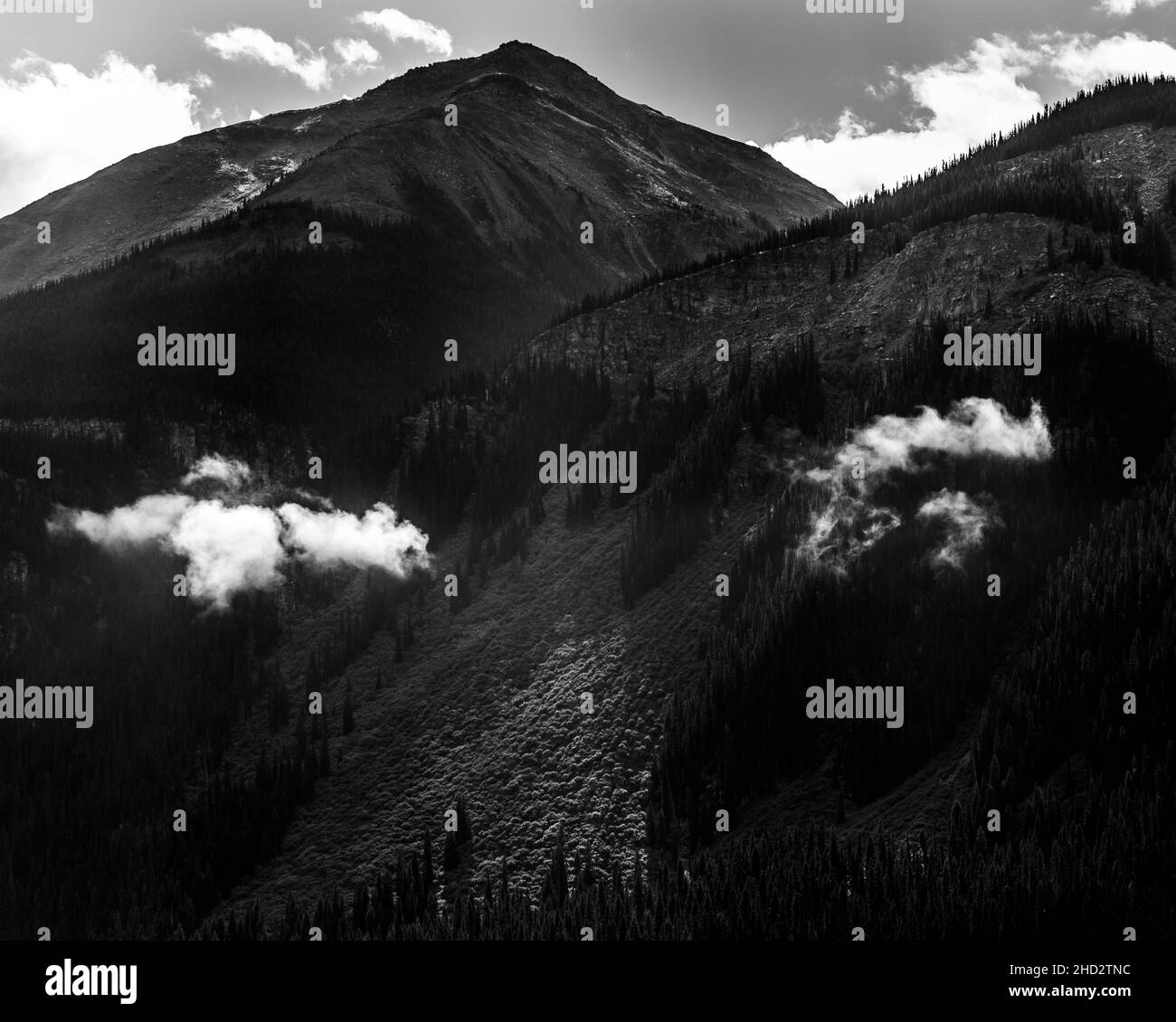 Black and White image near Moose Lake, BC, Canada Stock Photo - Alamy