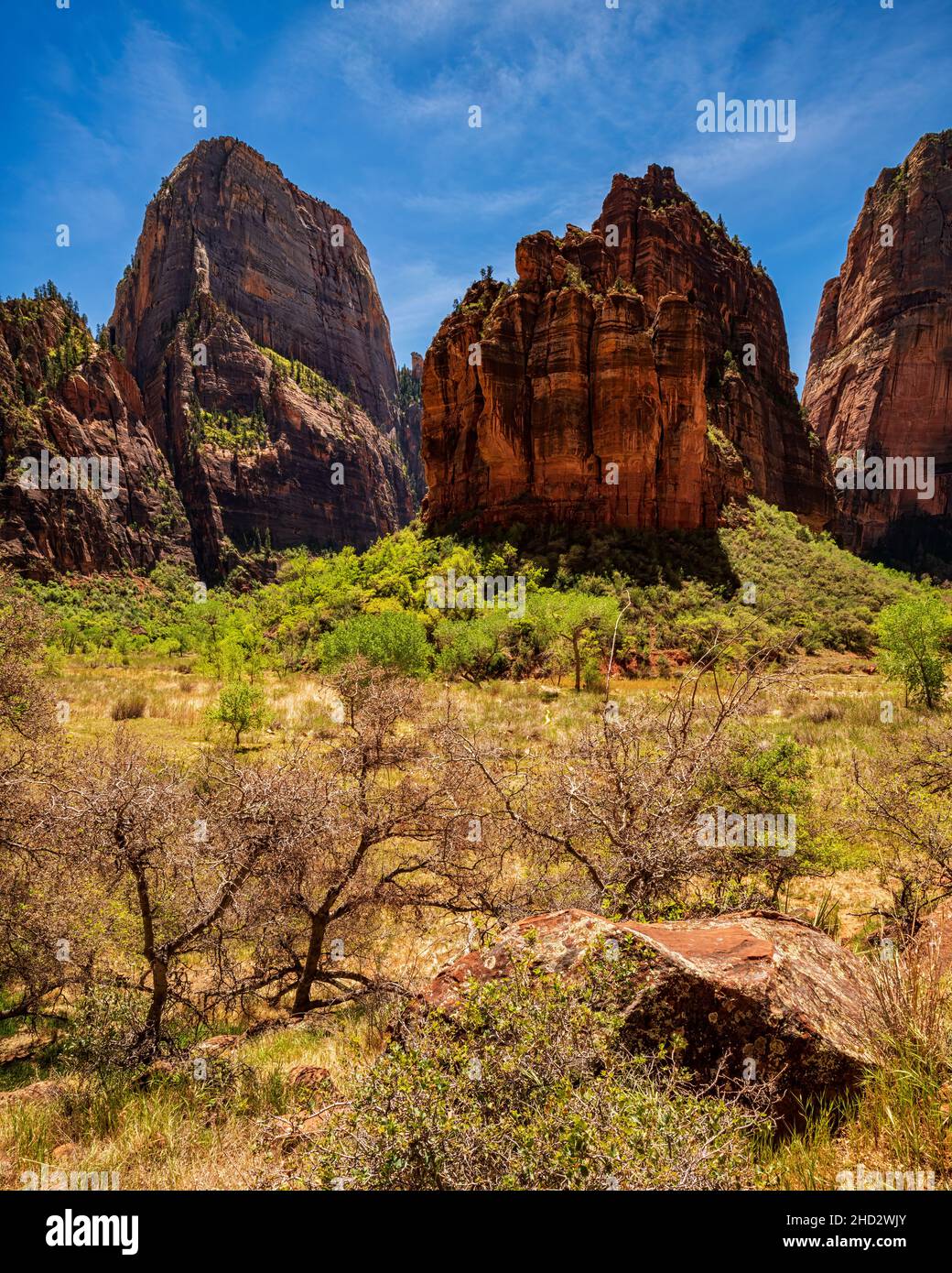 Great White Throne Viewpoint in Zion National Park Stock Photo