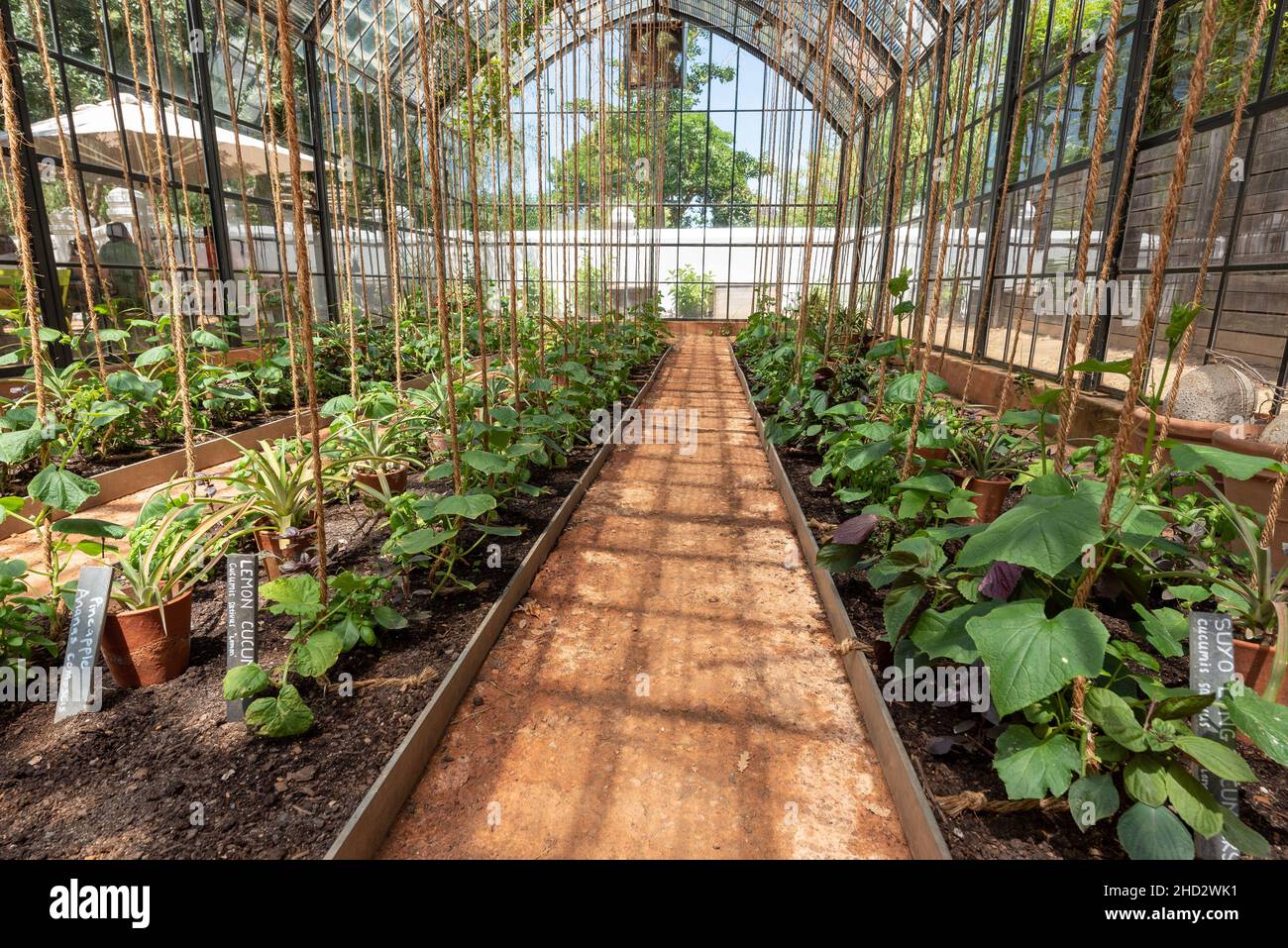 Green House Restaurant, Babylonstoren gardens, Franschhoek, Western
