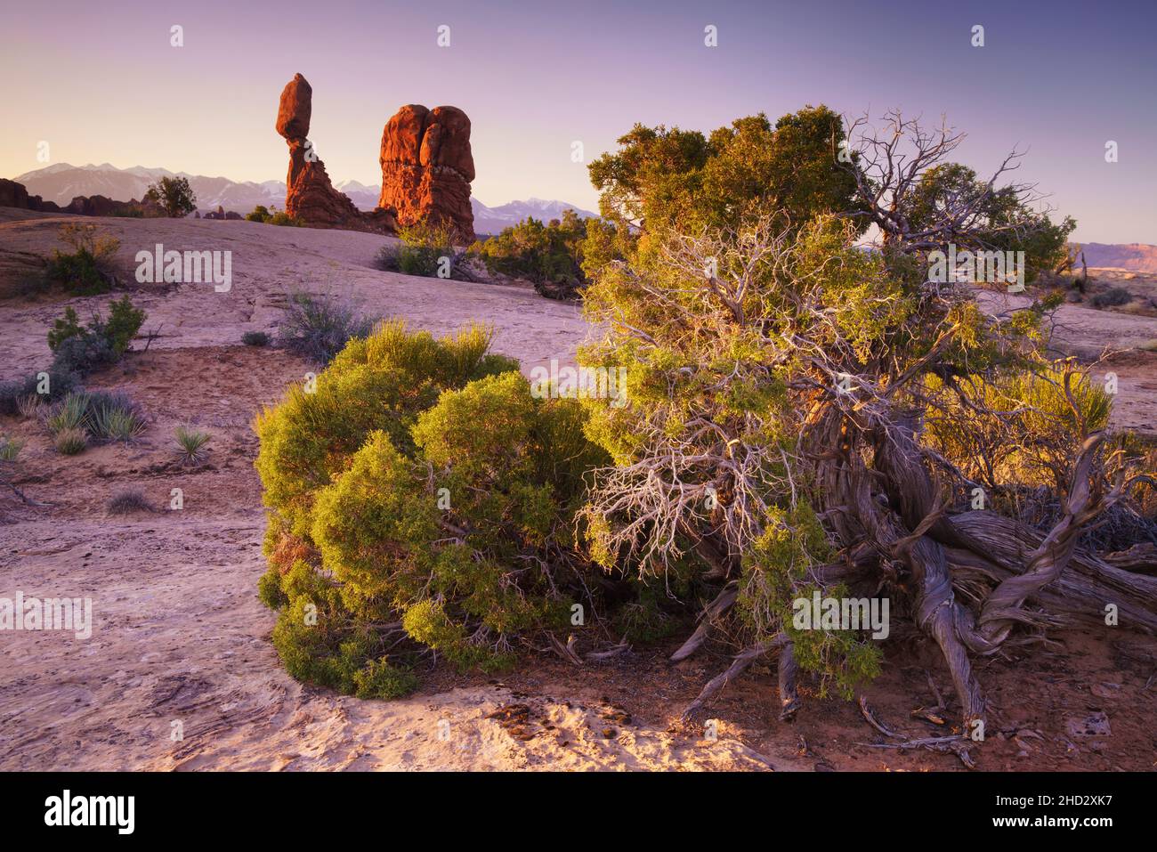 Balanced Rock at Sunrise in Arches National Park Stock Photo