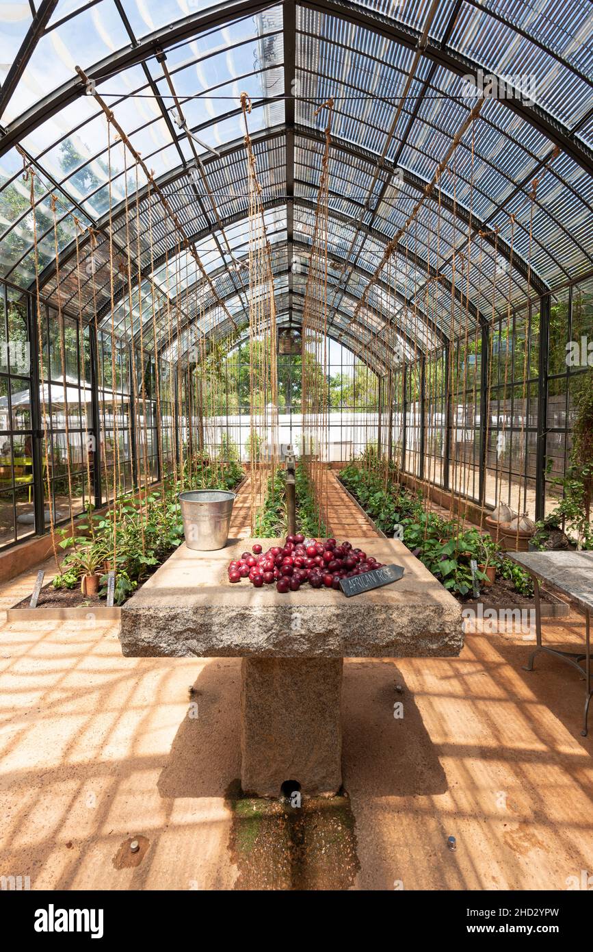 The greenhouse restaurant deals