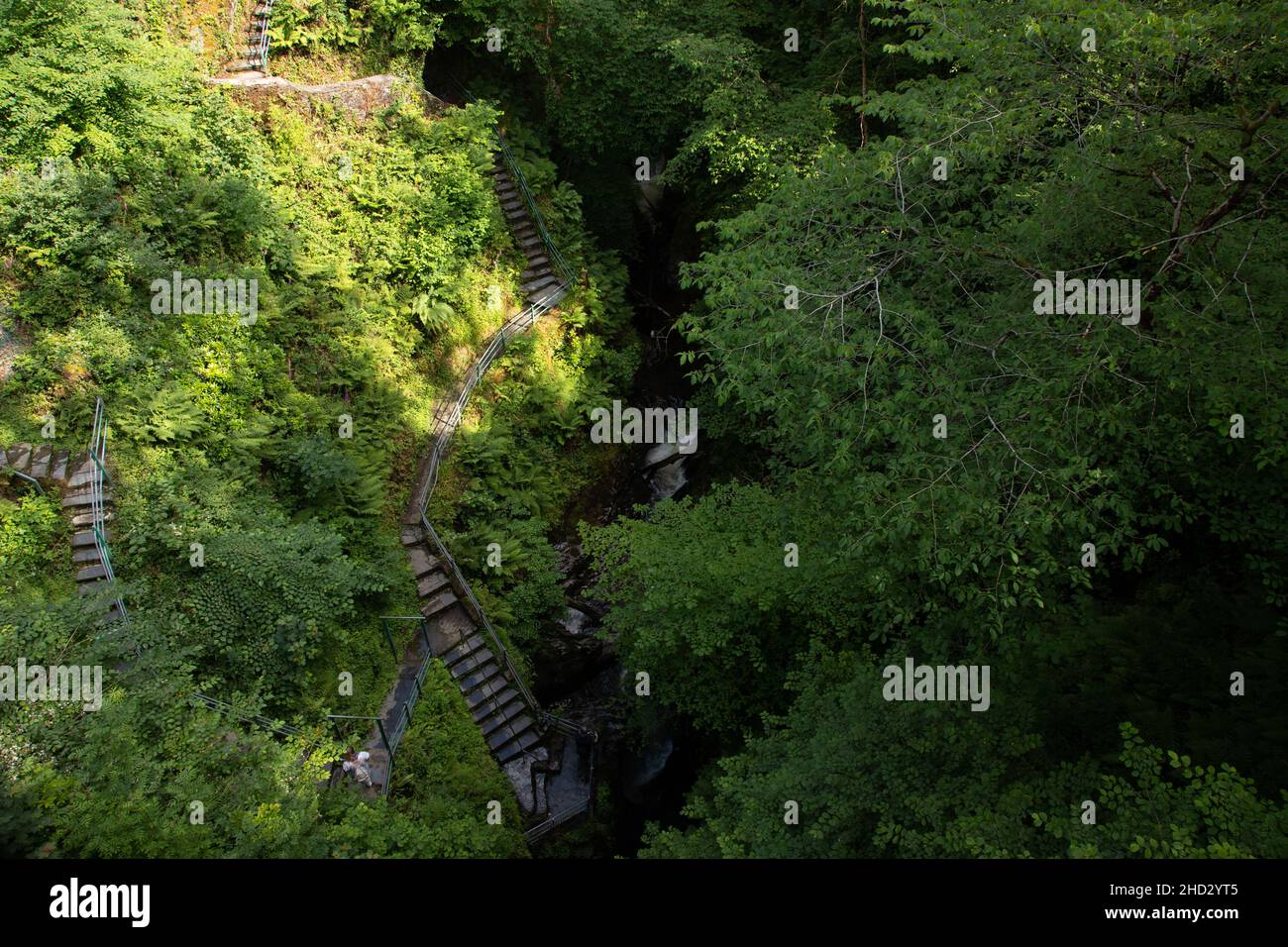 River Mynach gorge at Devil's Bridge, Ceredigion, Wales Stock Photo