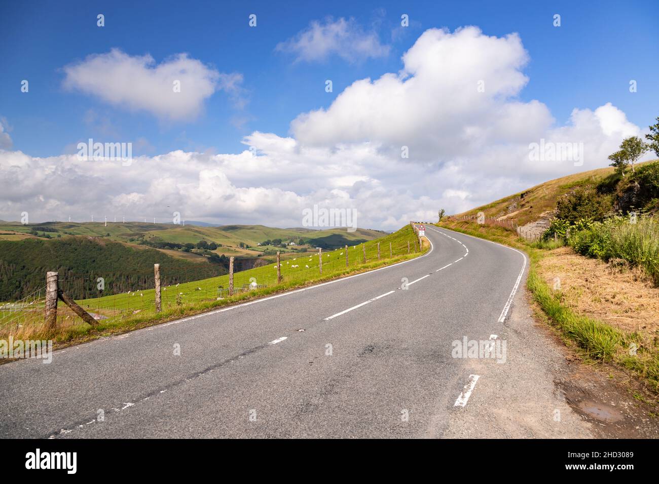 Road through sunlit countryside, Ceredigion, Wales Stock Photo