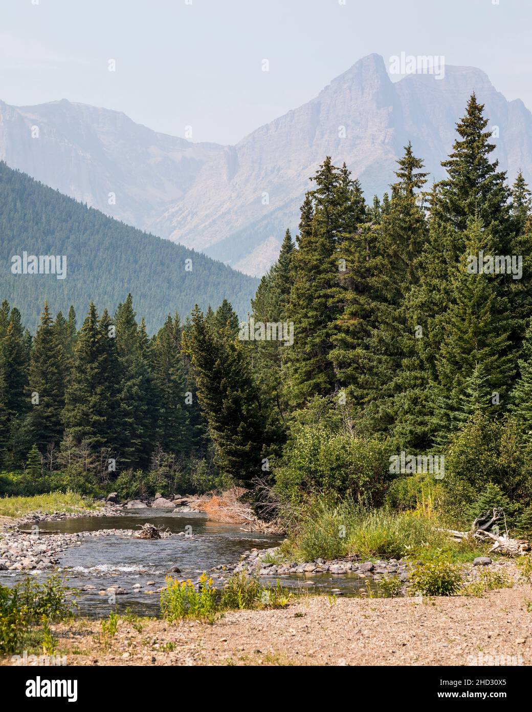 South Castle River, Castle Provincial Park, AB, Canada Stock Photo Alamy