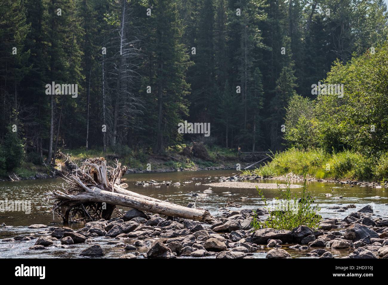 South Castle River, Castle Provincial Park, AB, Canada Stock Photo Alamy