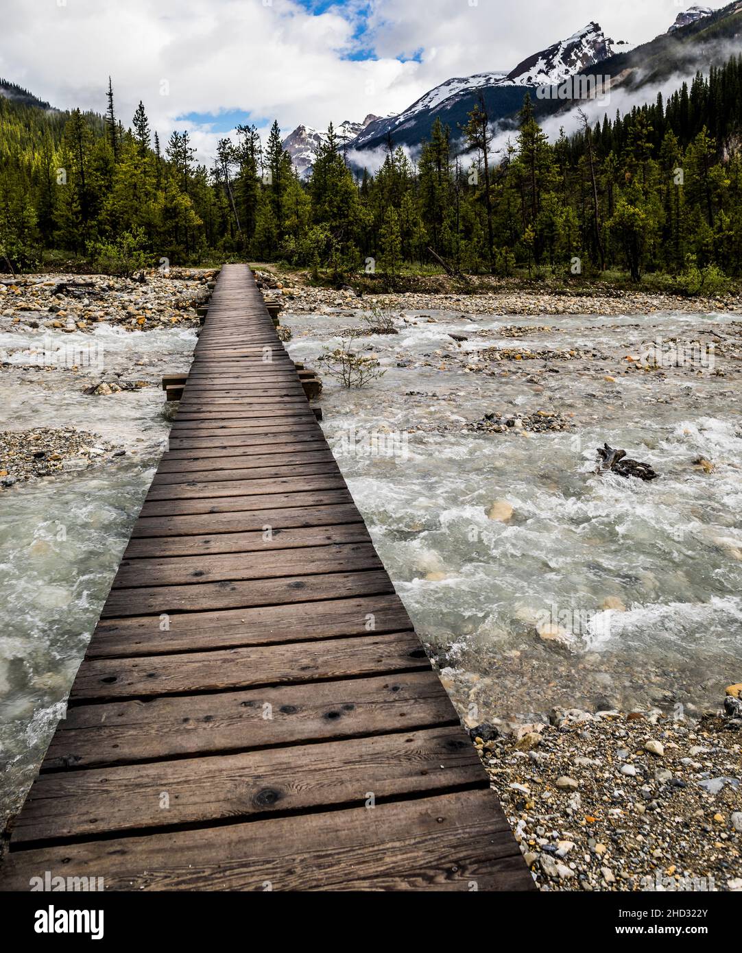 Laughing Falls, Iceline Trail, Yoho National Park, BC, Canada Stock