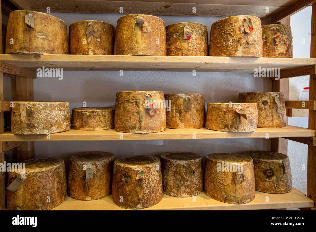 Neal s Yard Dairy selling cheese at Borough Market in Southwark, London, England. Stock Photo