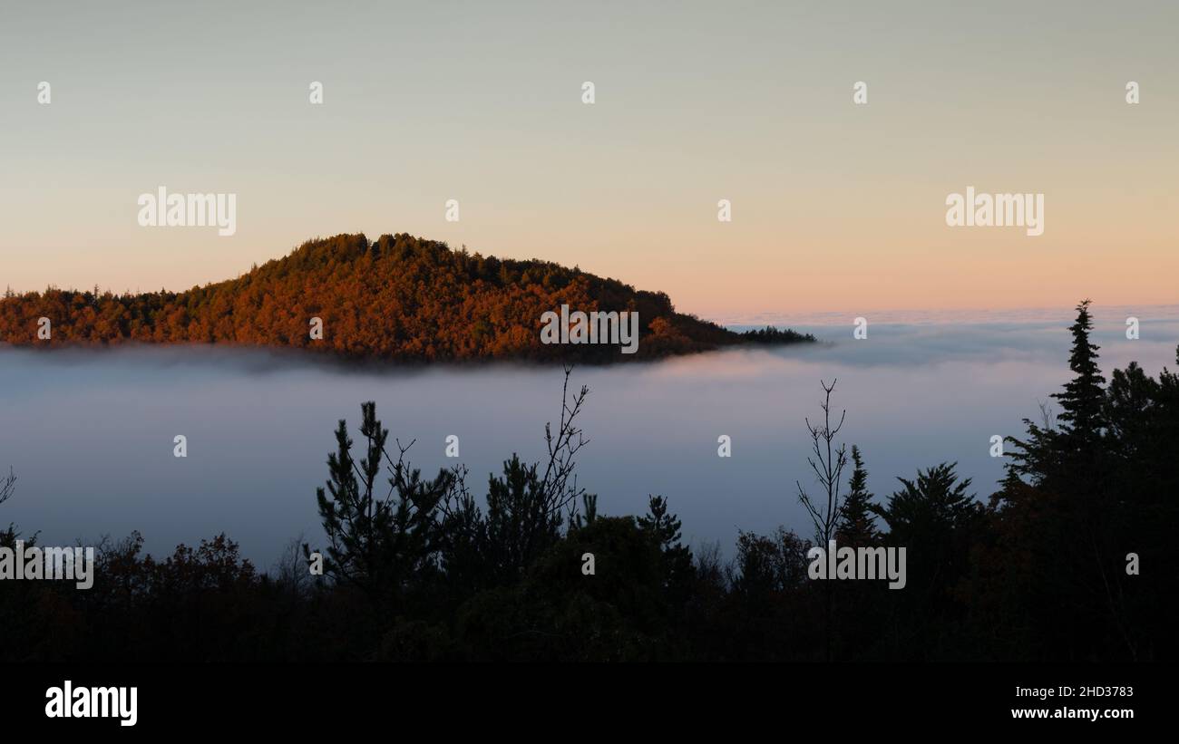 Fog covering hi-res stock photography and images - Alamy