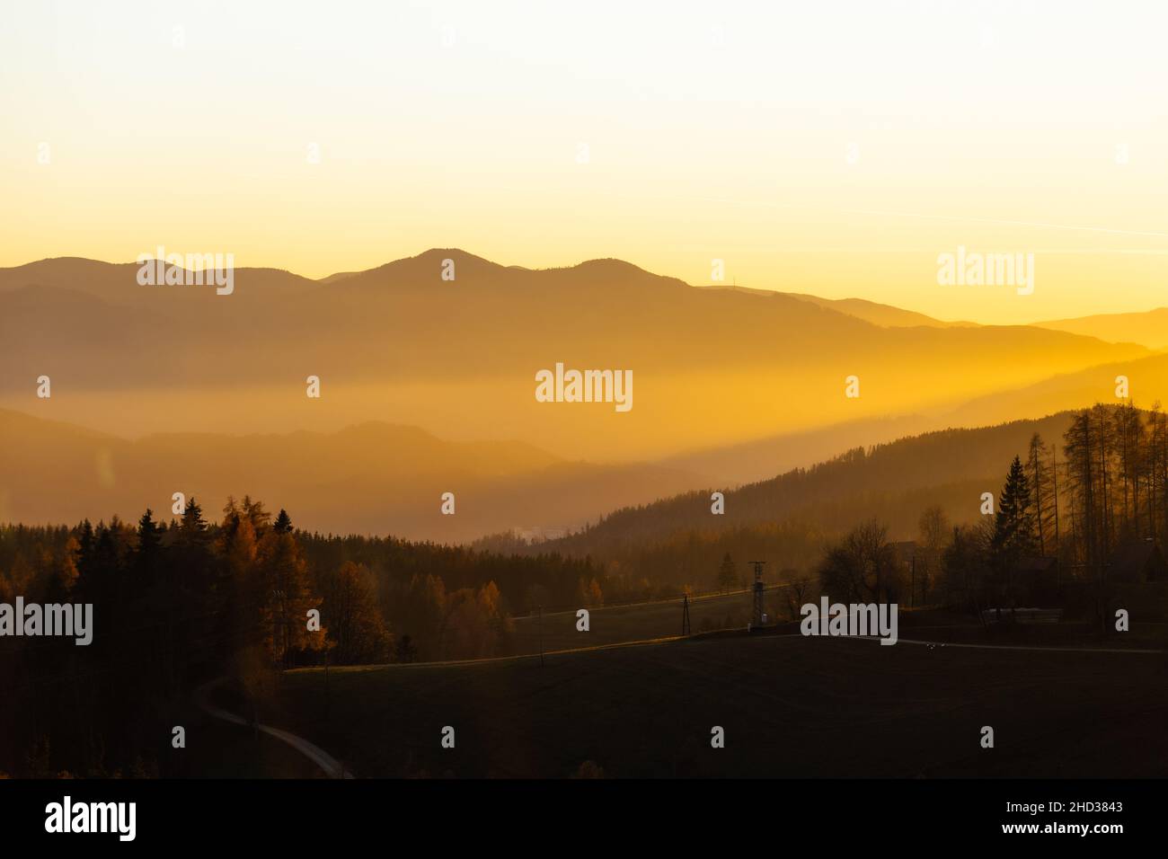 Beautiful view of the sunset over the hills with large trees Stock Photo