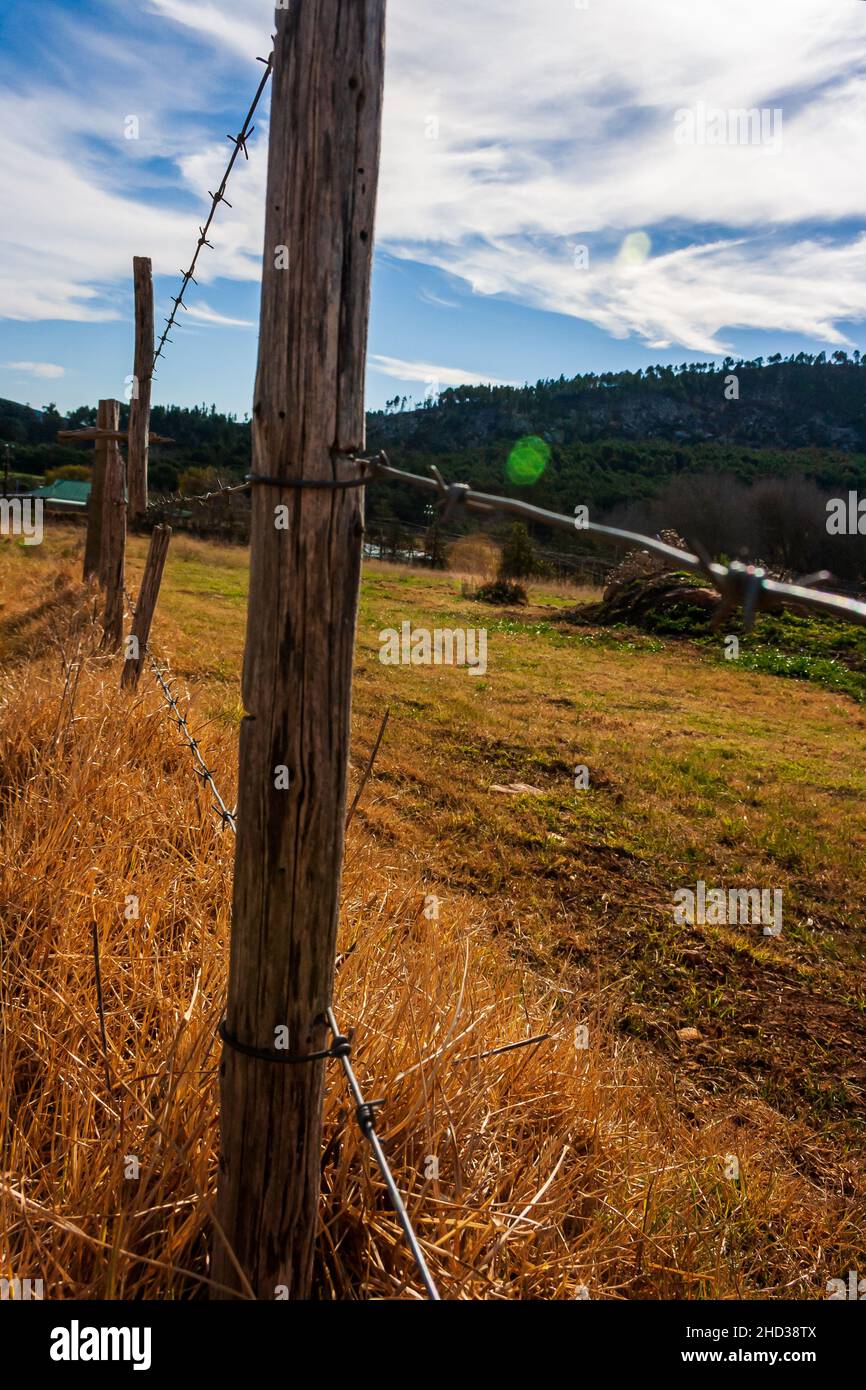 Vertical shot field fence hi-res stock photography and images - Alamy