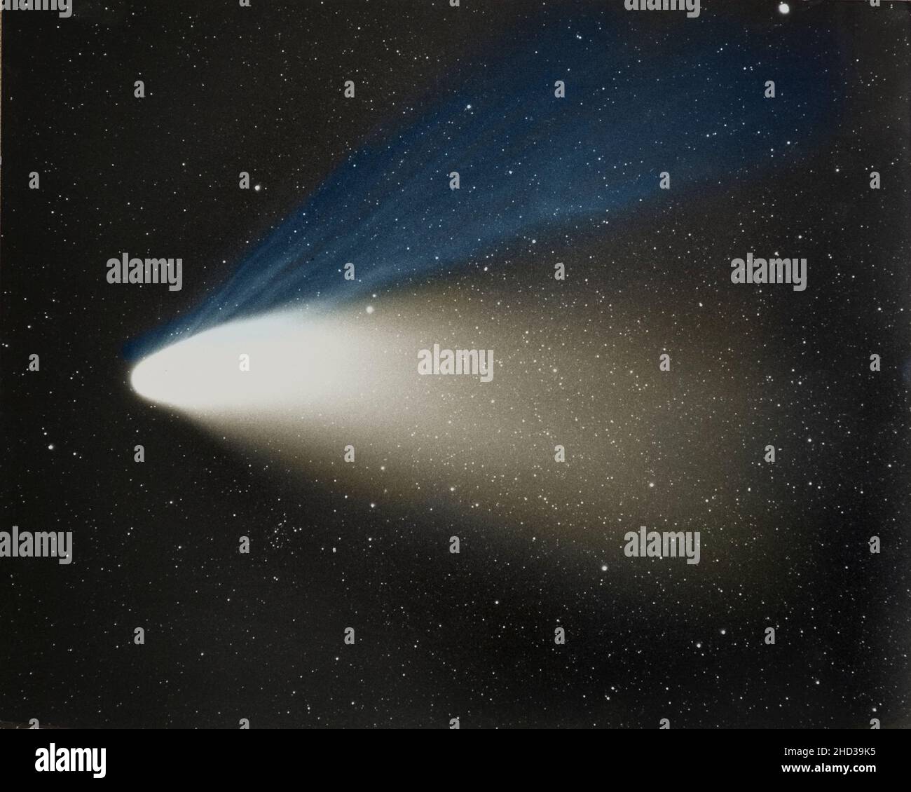 Comet Hale Bopp Photographed In 1997 Stock Photo Alamy Comet Hale Bopp Photographed In 1997 Stock Photo Alamy