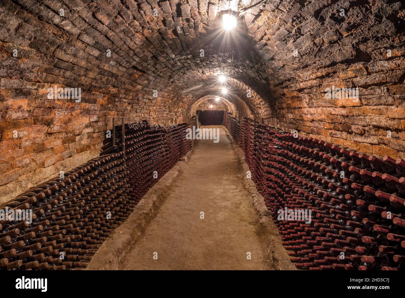 Old wine bottles in rows in the wine cellar Stock Photo