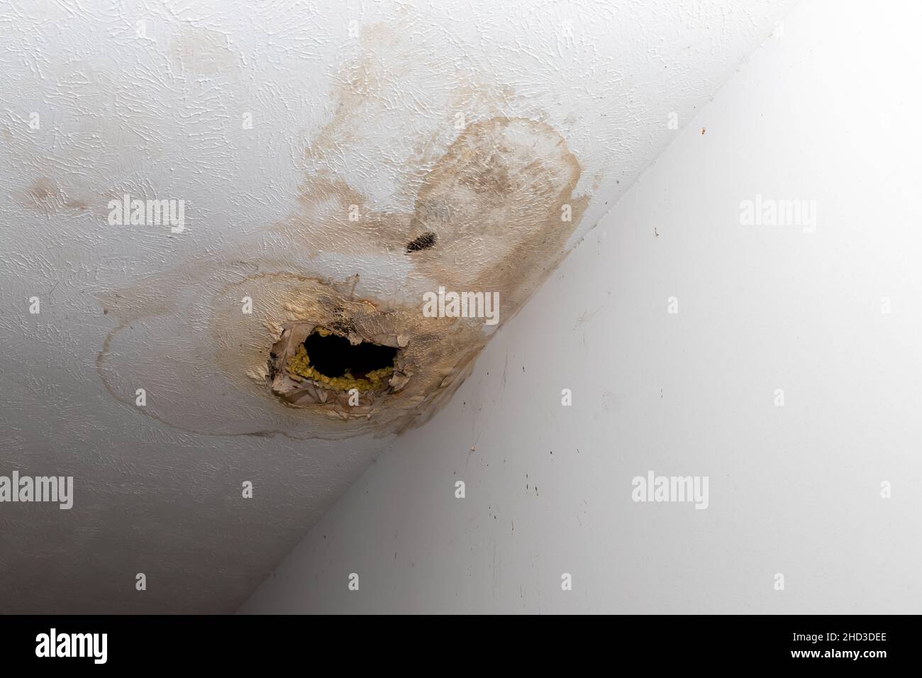 Water leak ceiling hires stock photography and images Alamy