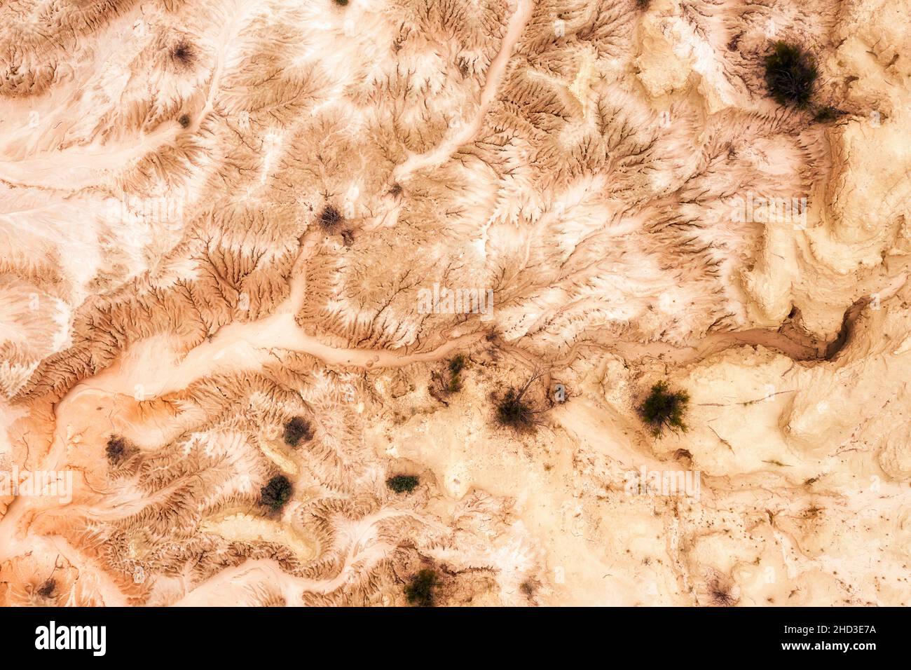 Top down aerial view over basin of dried streams on lakebed of Lake Mungo in red outback of Australia. Stock Photo