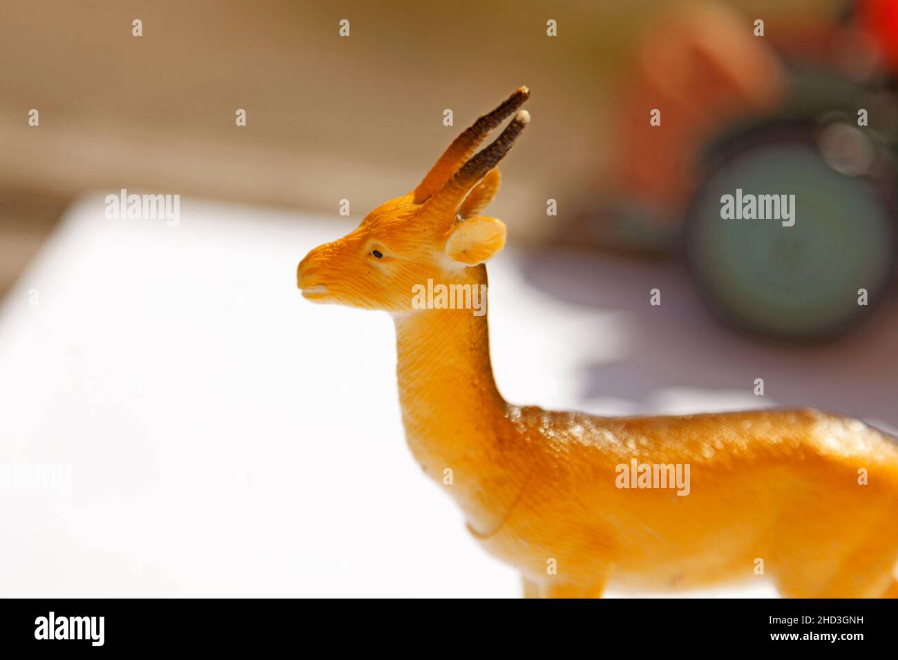 plastic toy animals with horns by the sandbox Stock Photo Alamy