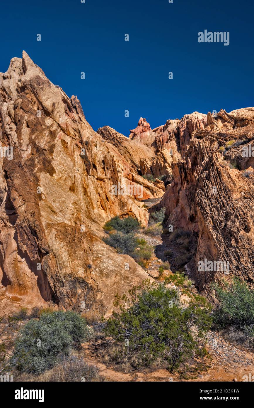 Jurassic sandstone rocks gully, Virgin Mountains, Whitney Pocket area ...