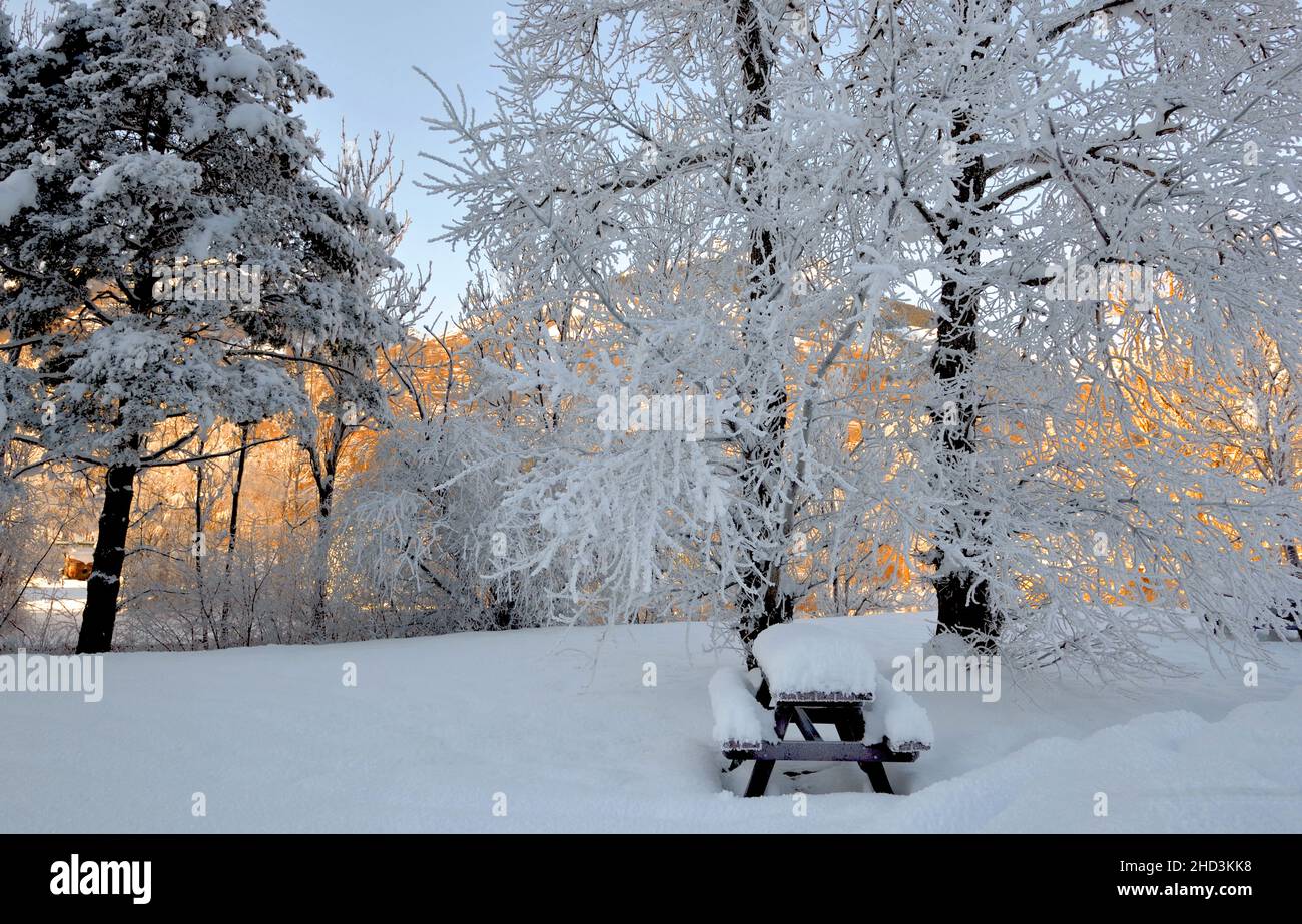 snowy picnic area with white tree  covered with frost  in front of  mountain illuminated by the sun Stock Photo