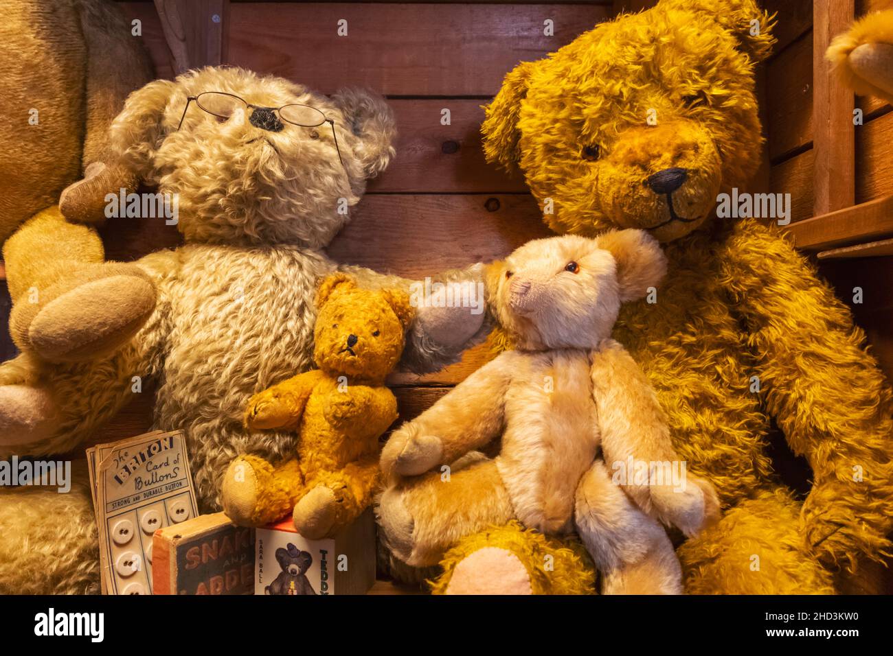 Teddy bear museum hi-res stock photography and images - Alamy