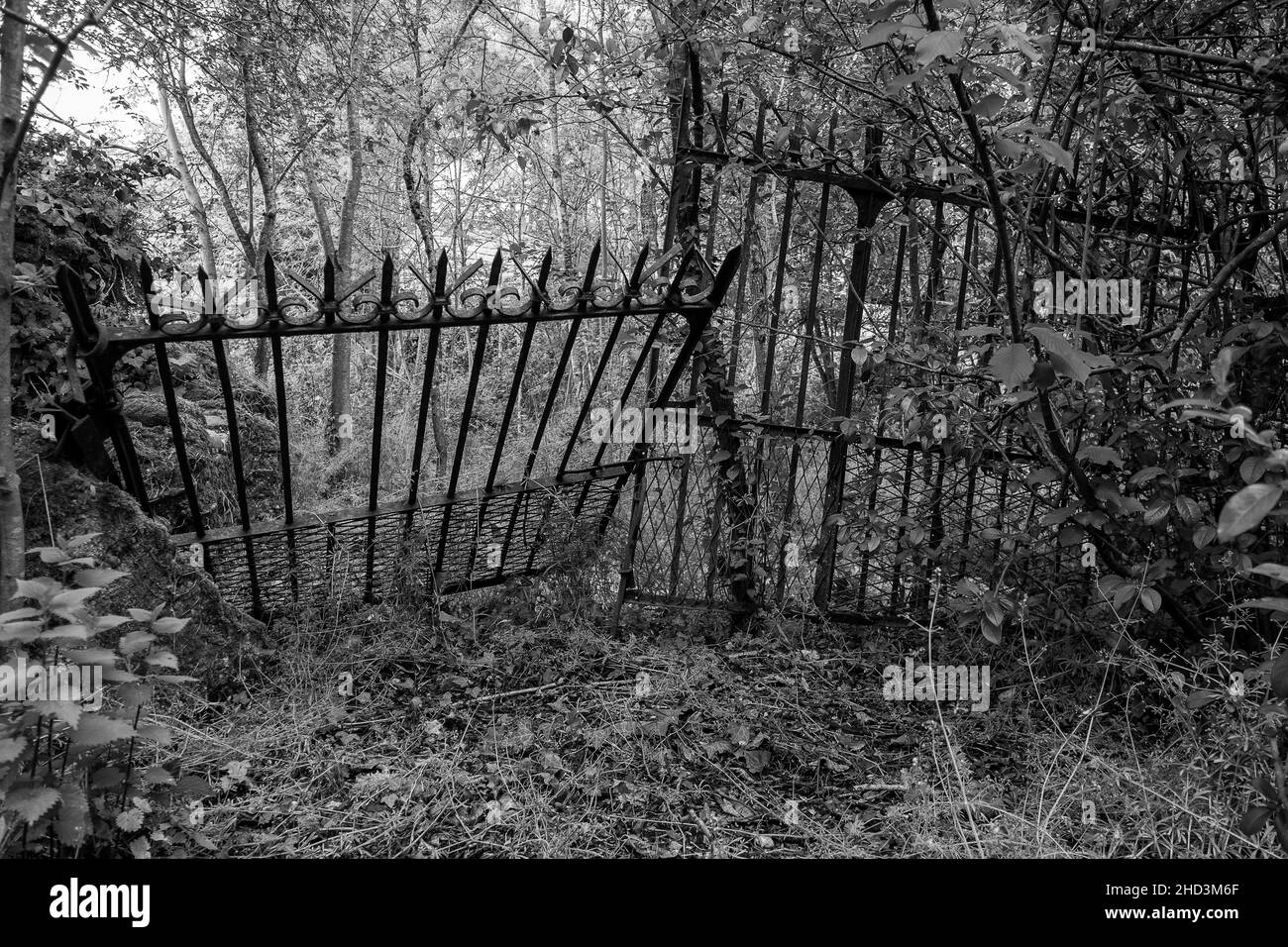 a black and white old metal gate Stock Photo Alamy