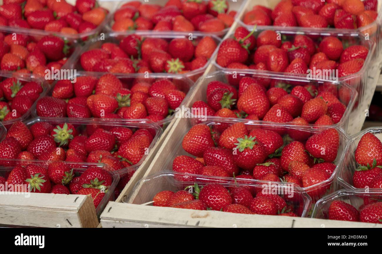 Strawberries on french fruit market hi-res stock photography and images ...