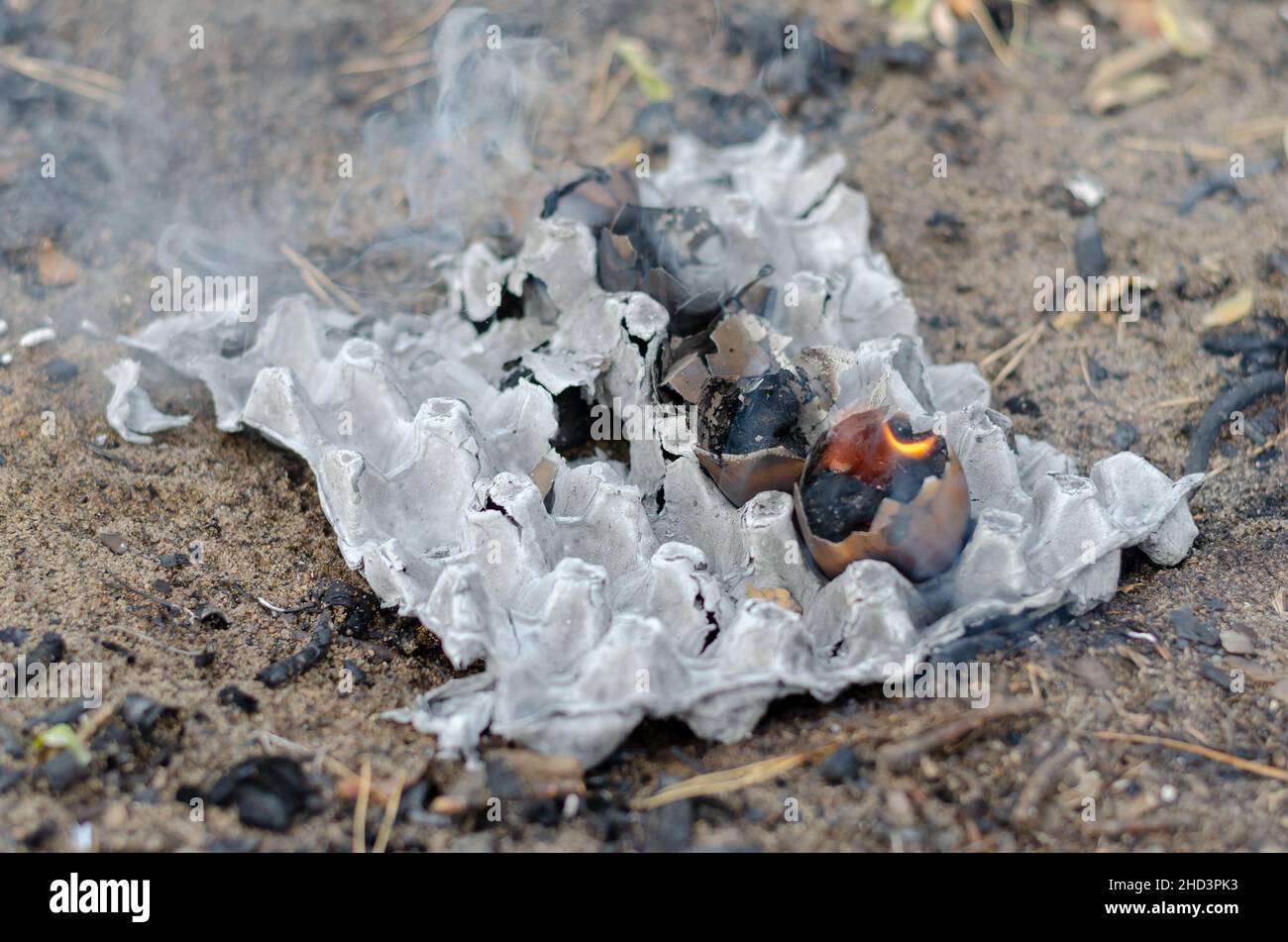 Ashes from a burnt egg tray and chicken shells. Five burning eggshells