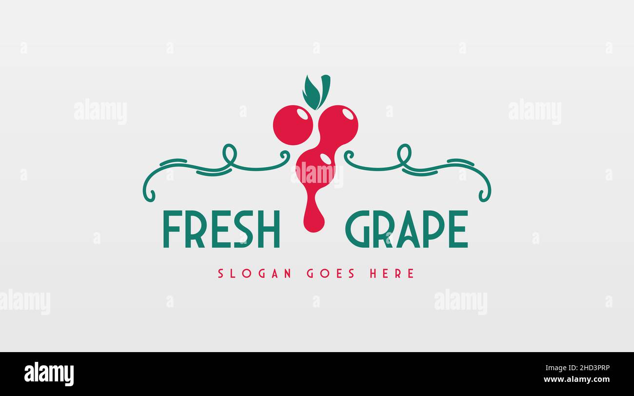 Vintage Fruit Logo Template for Grape Logo Vector. Retro Style Fruit Logo Stock Vector