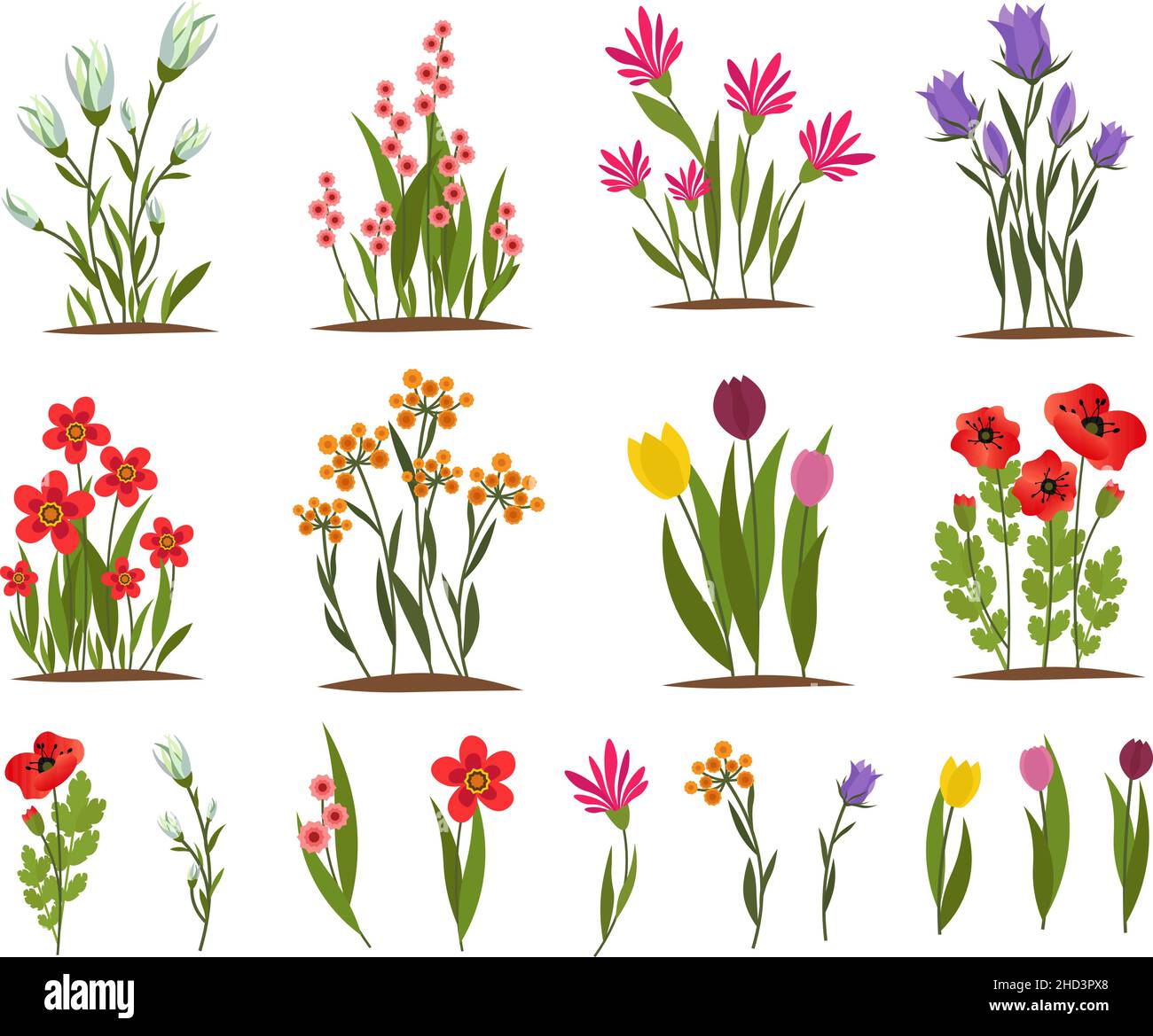 Set of spring flowers on the garden bed. Floral vector drawing ...