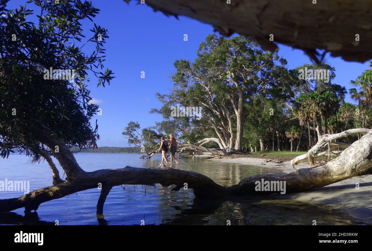 Retired couple wading into Wallis Lake, NSW, Australia. No MR Stock Photo