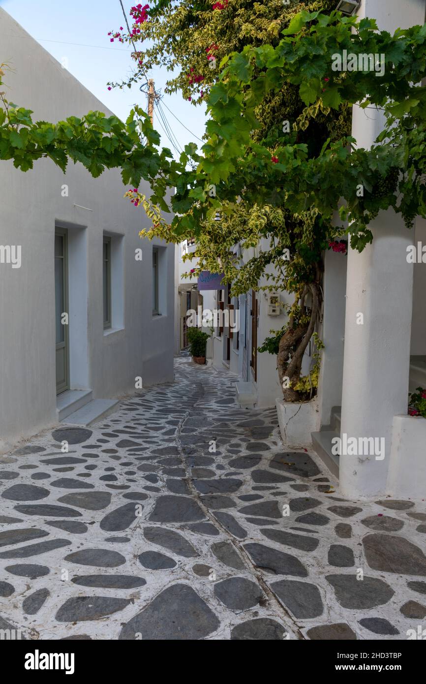 Traditional white buildings in Naxos Town, Naxos, Greece Stock Photo