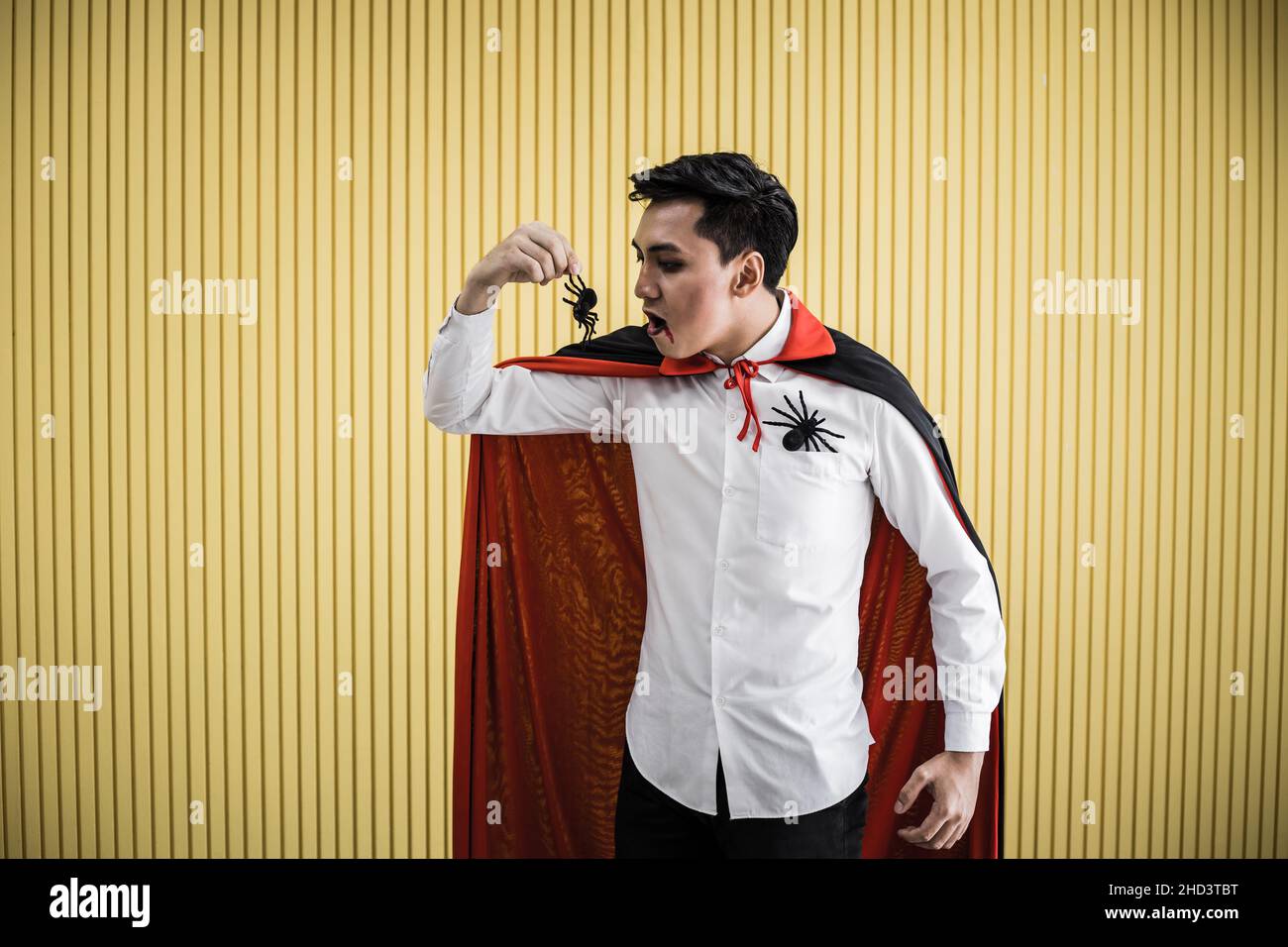 Young Asian man in costume dracula and eat black spider on yellow background of Halloween concept. Portrait of teen man dressed up as dracula for cele Stock Photo